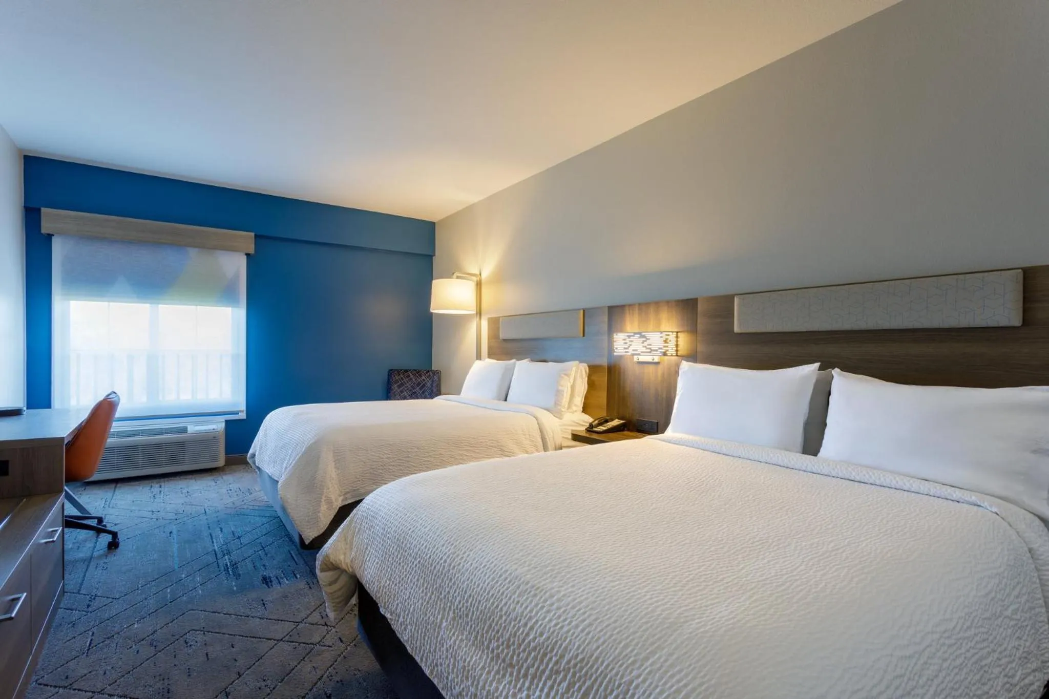 Photo of the whole room, Bed in Holiday Inn Express Tampa North Telecom Park by IHG