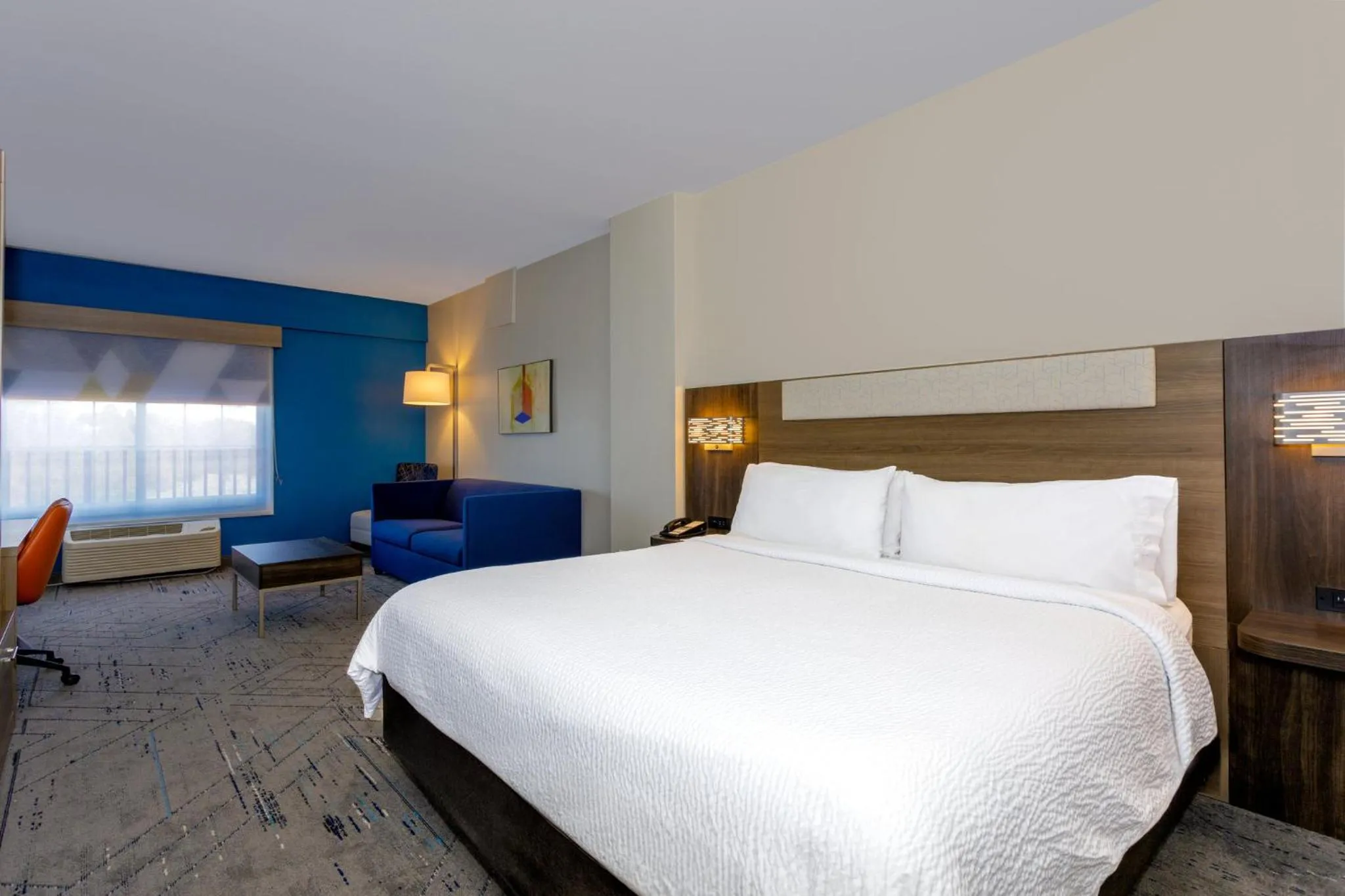 Photo of the whole room, Bed in Holiday Inn Express Tampa North Telecom Park by IHG