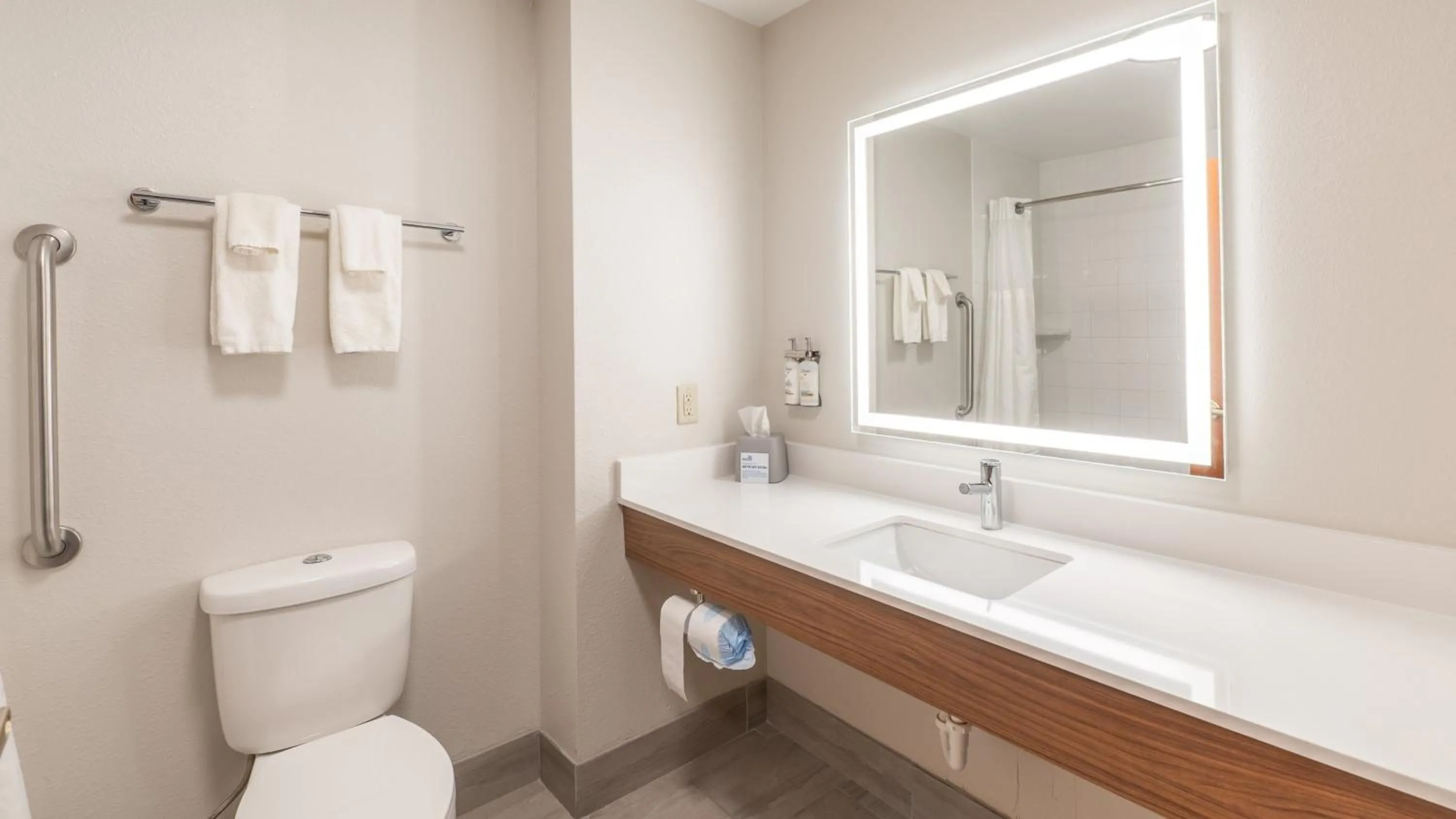 Bathroom in Holiday Inn Express Hotel & Suites Anderson by IHG