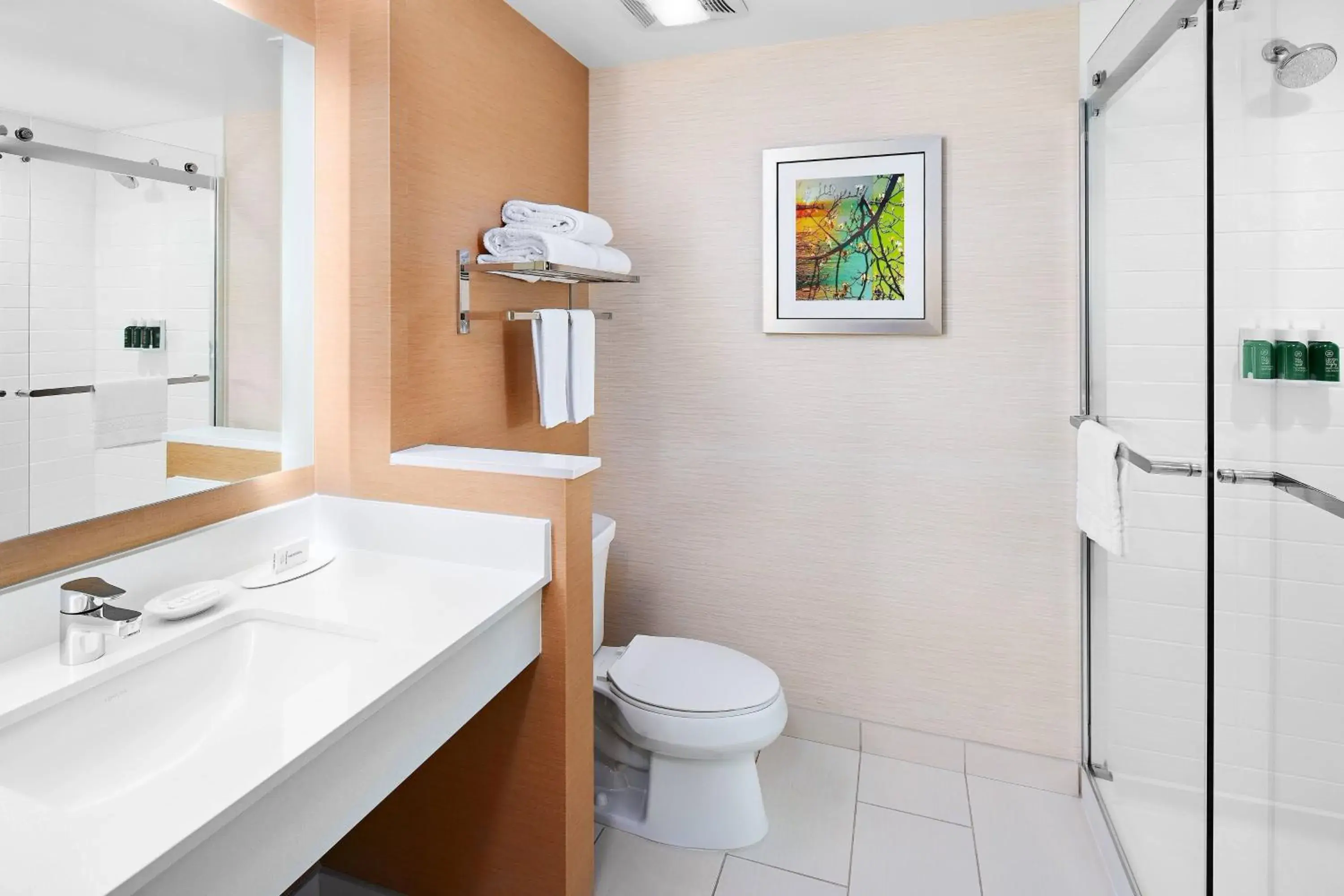 Executive King Suite with Sofa Bed in Fairfield Inn & Suites by Marriott Fresno Yosemite International Airport Executive King Suite with Sofa Bed in Fairfield Inn & Suites by Marriott Fresno Yosemite International Airport