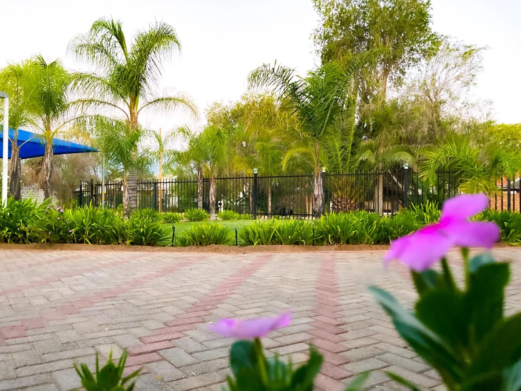 Natural landscape in Oppi Draai Guesthouse