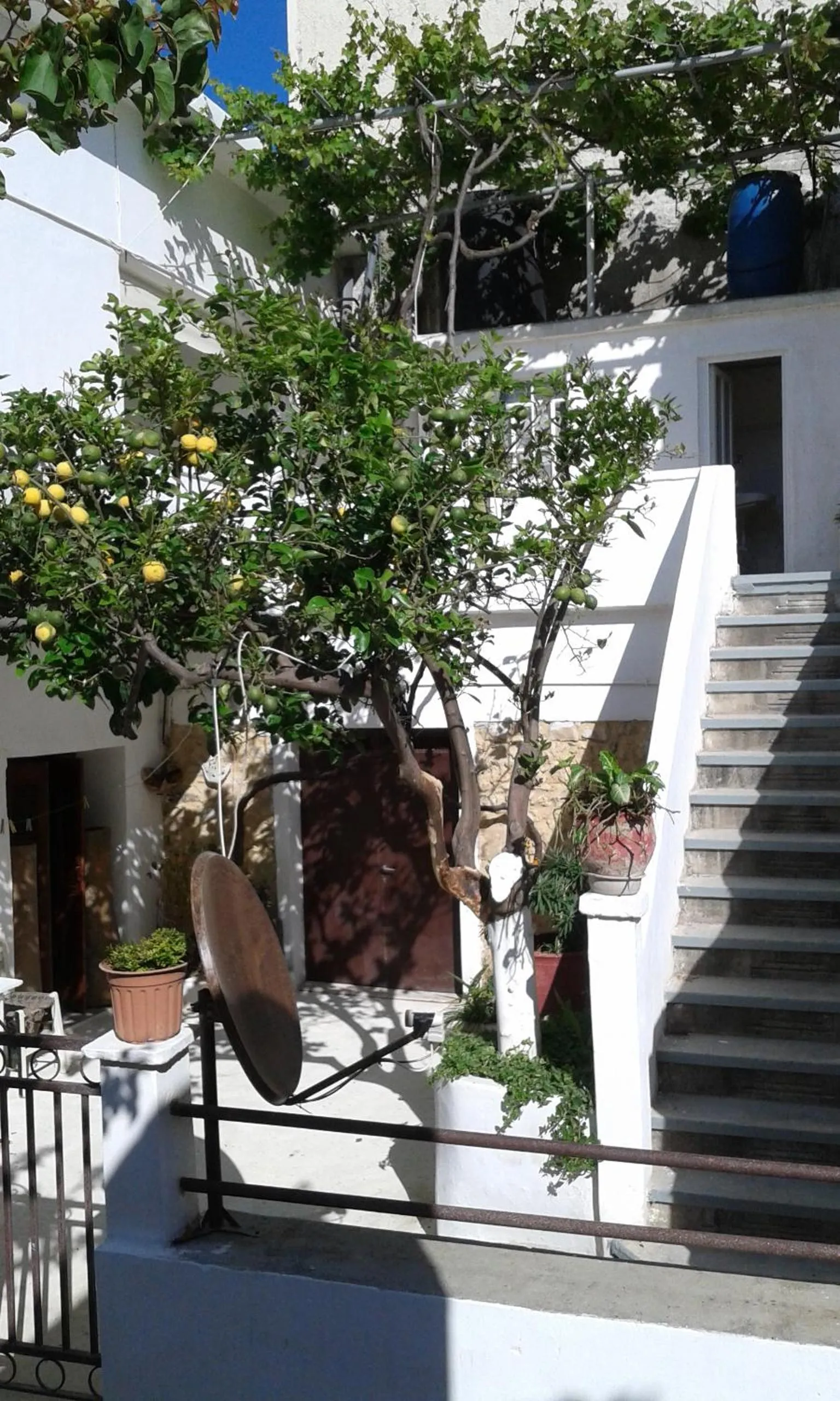 Property building in Beach Studio next to the center