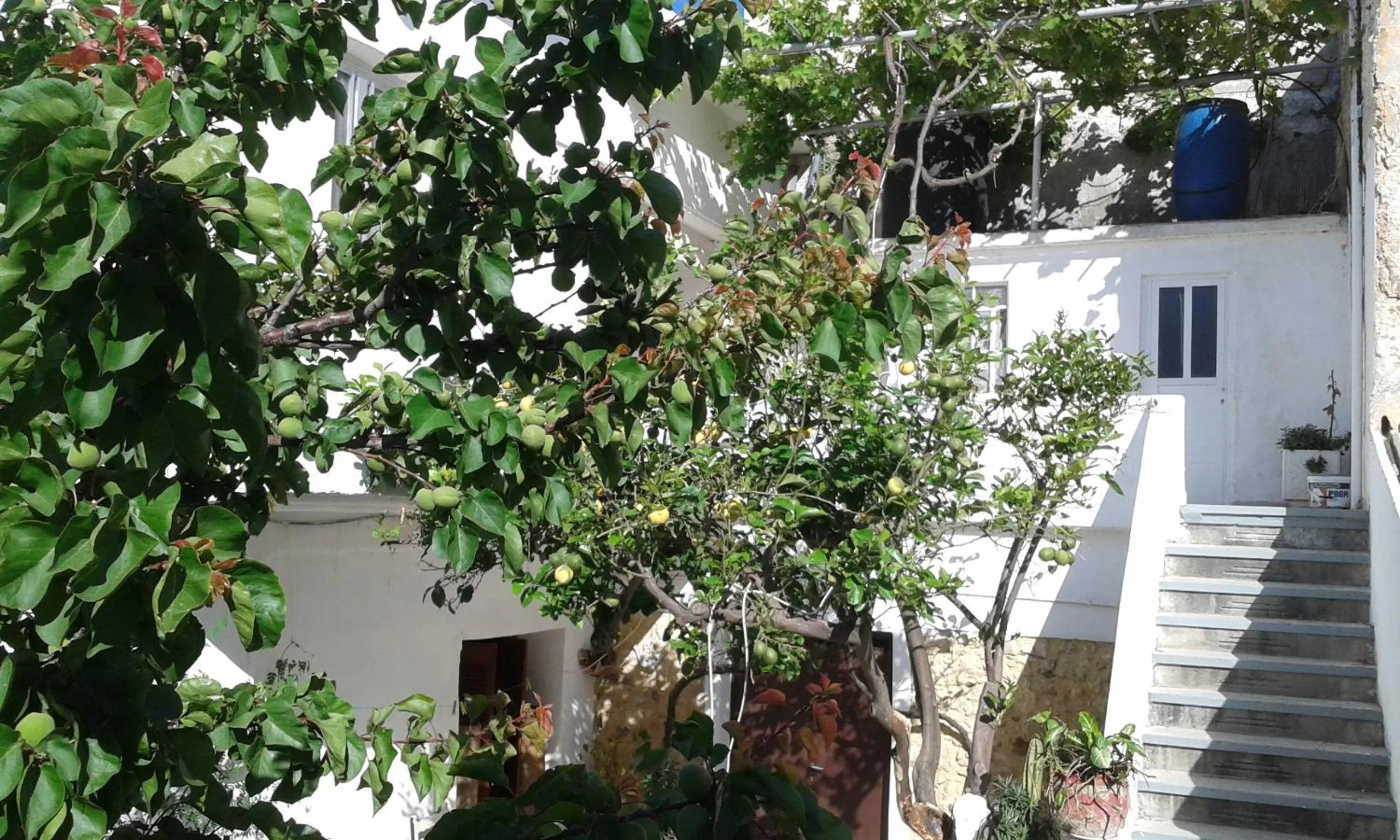 Garden view in Beach Studio next to the center