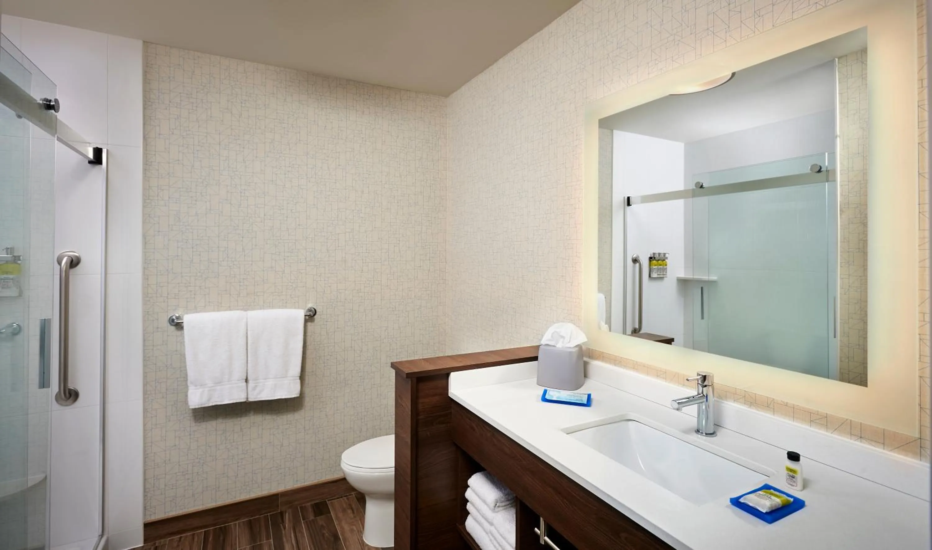 Shower in Holiday Inn Express & Suites - Brantford by IHG