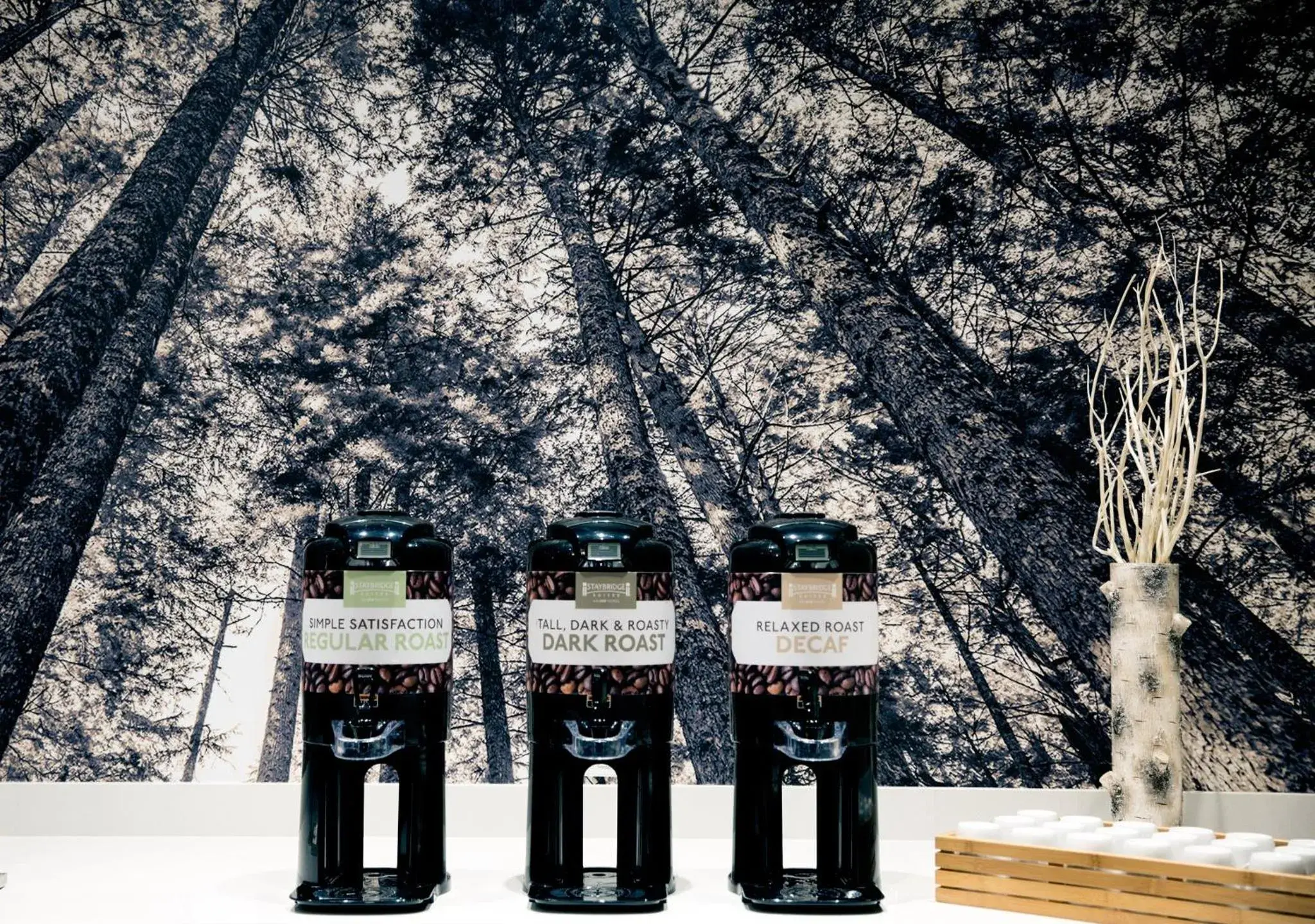 Property building in Staybridge Suites Seattle - South Lake Union by IHG Property building in Staybridge Suites Seattle - South Lake Union by IHG