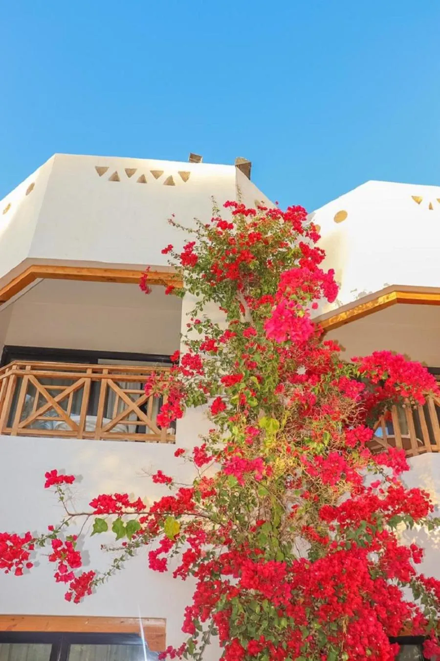 Property building in Ghazala Gardens