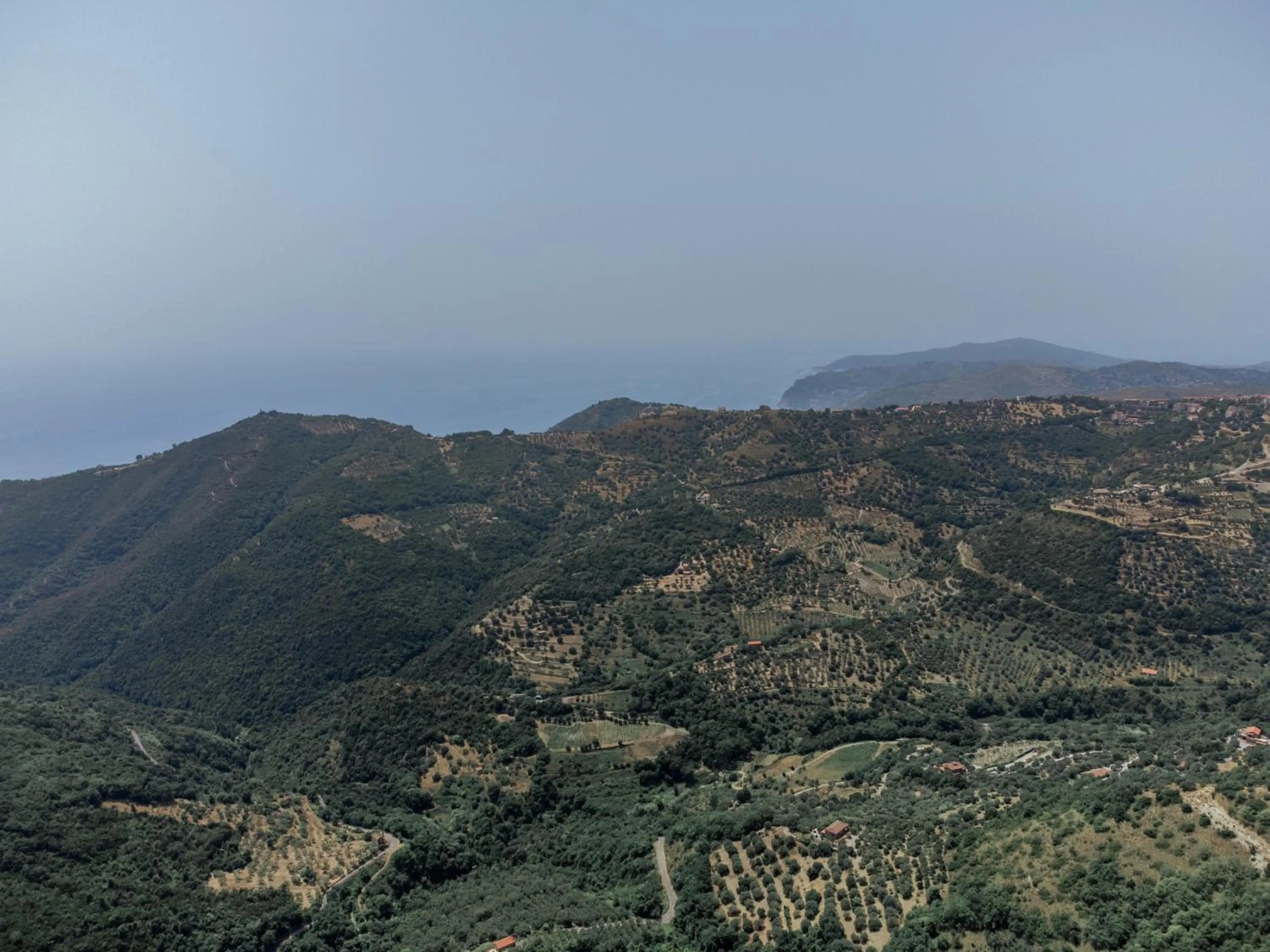 Natural landscape in Palazzo Mazziotti