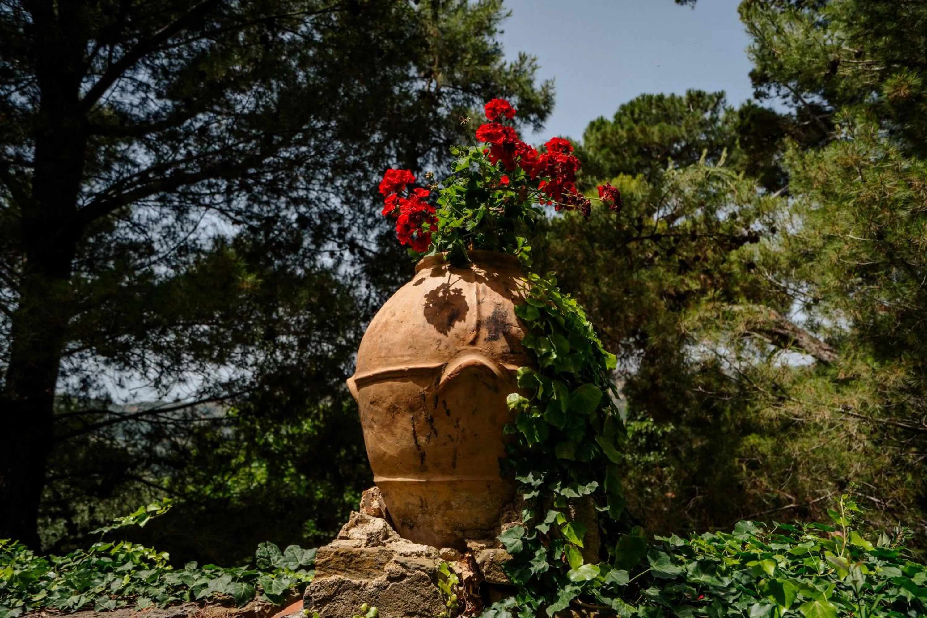 Spring in Palazzo Mazziotti