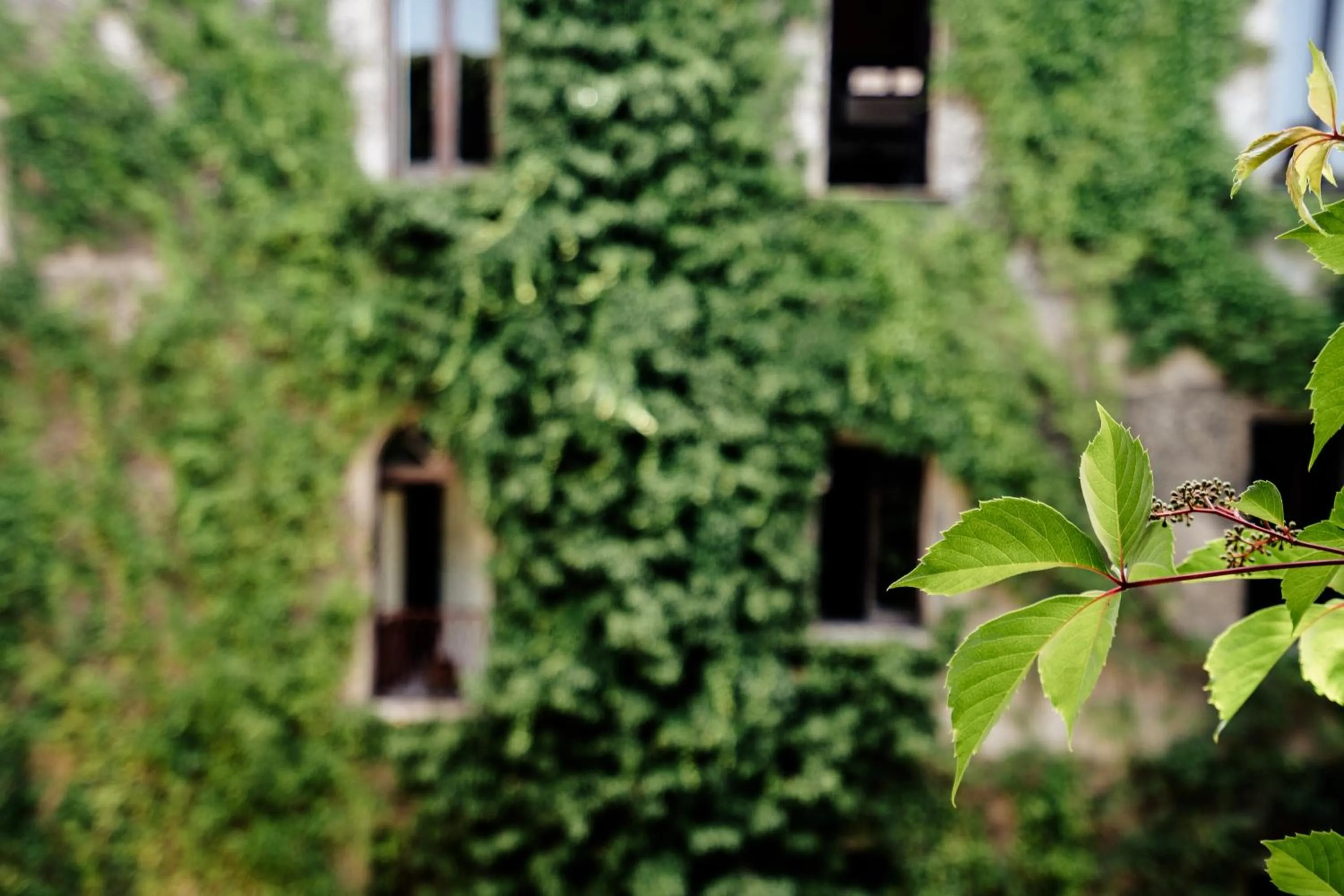 Spring in Palazzo Mazziotti