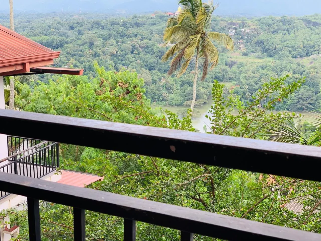 Natural landscape in Serenity Hill Oasis