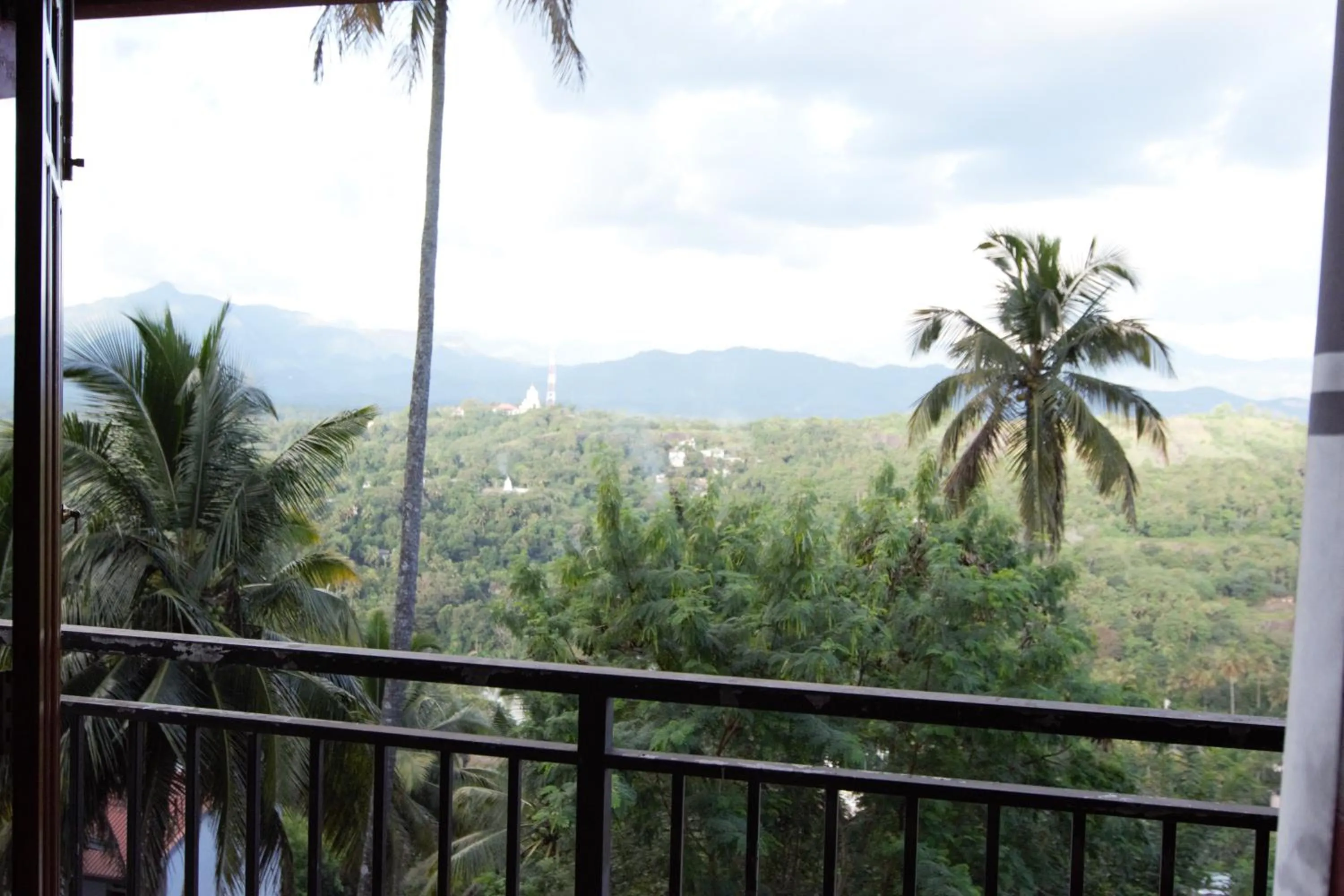 Natural landscape in Serenity Hill Oasis