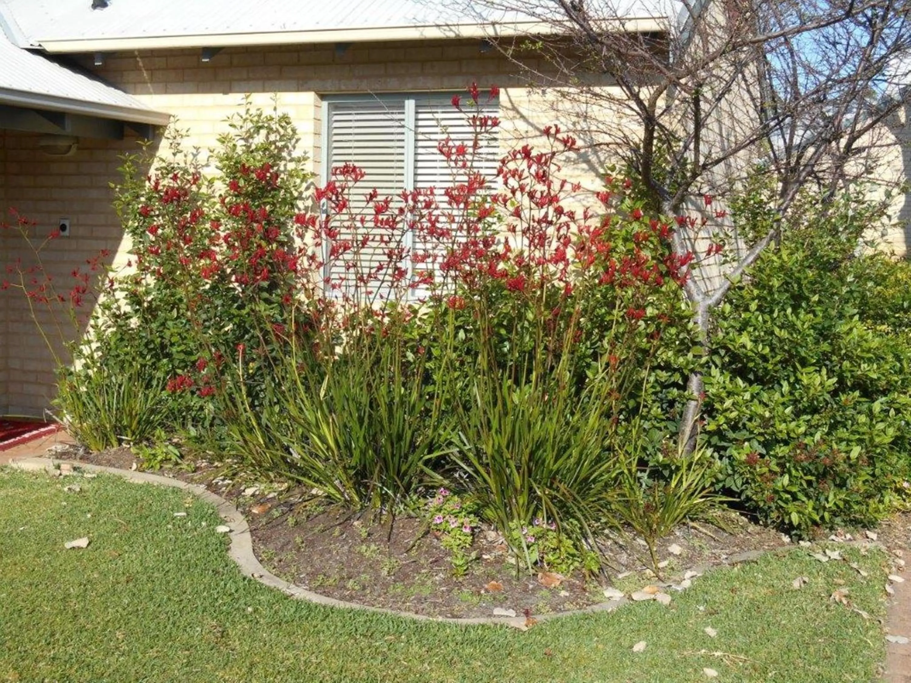 Garden in Bayshore Beachside Resort
