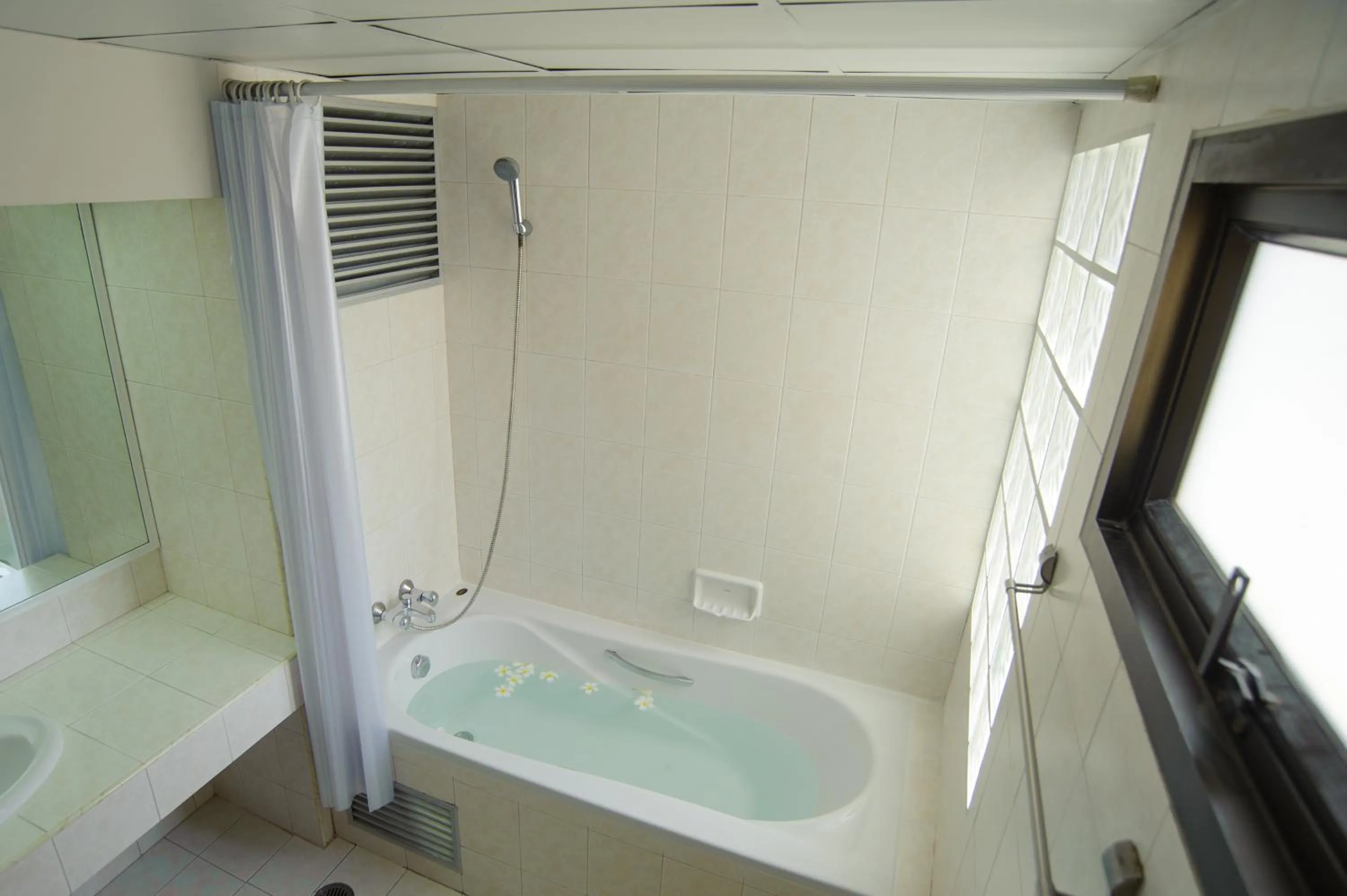 Bathroom in Diamond City Place