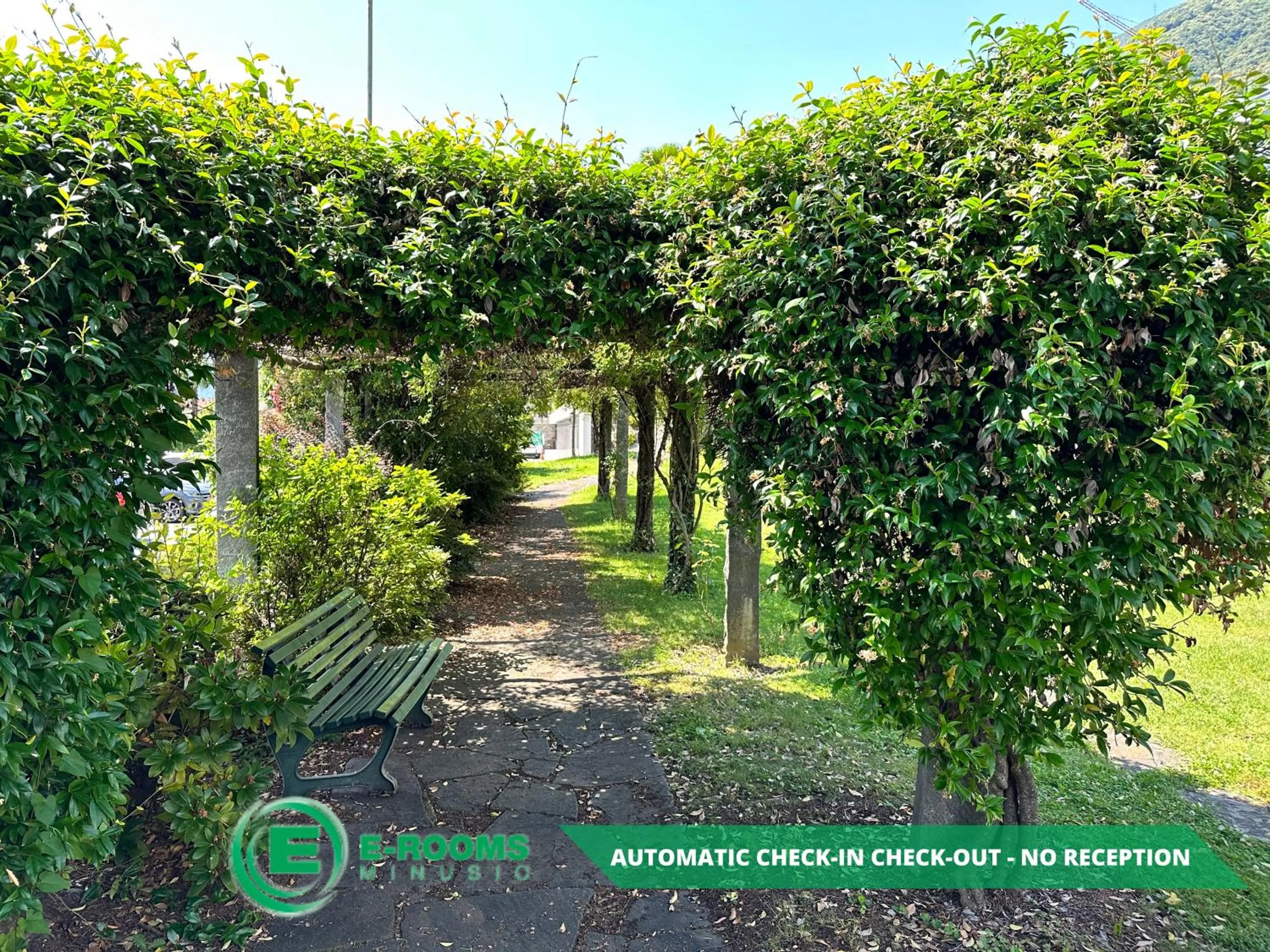 Garden in E-Rooms Minusio