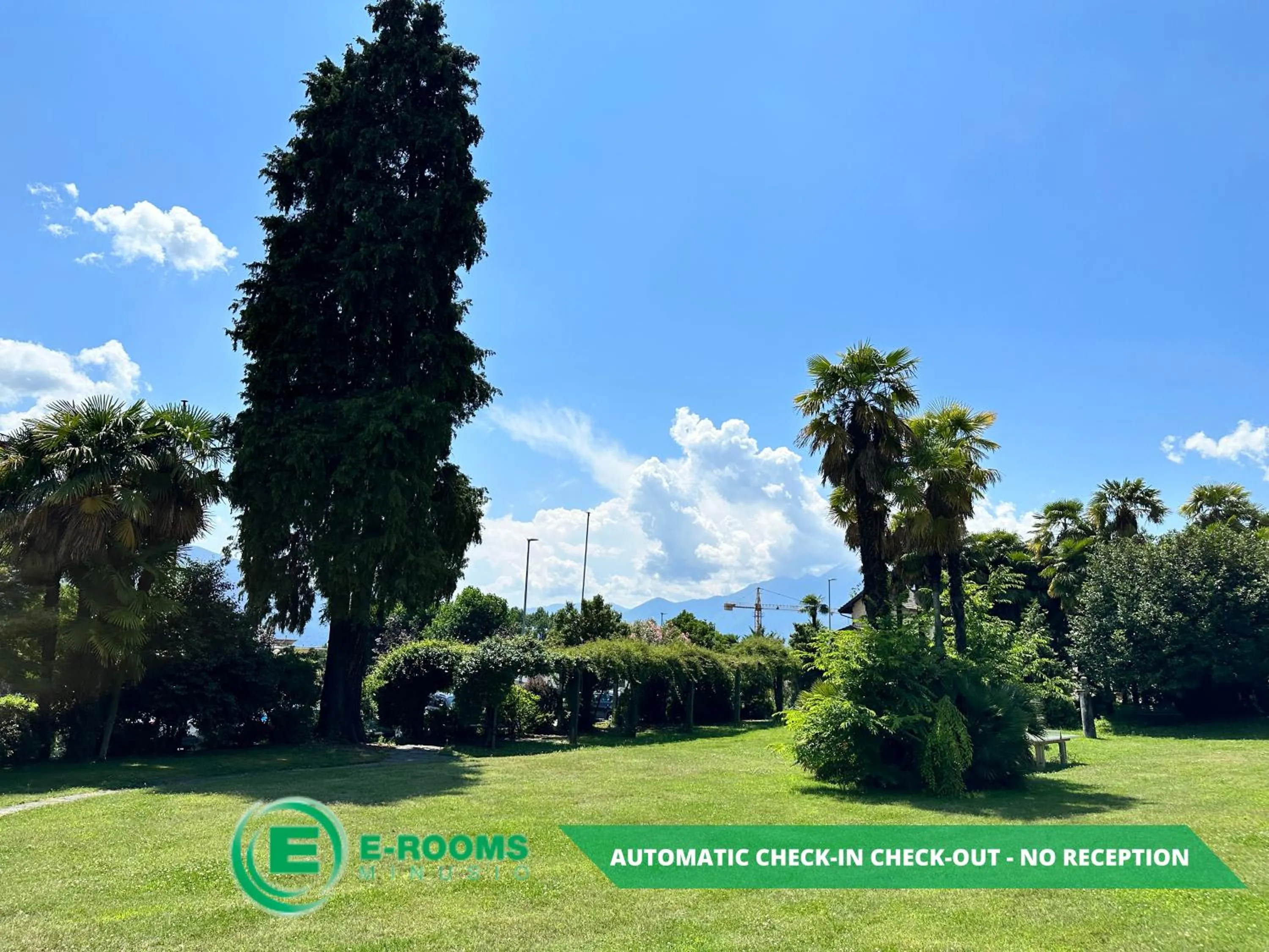 Garden in E-Rooms Minusio