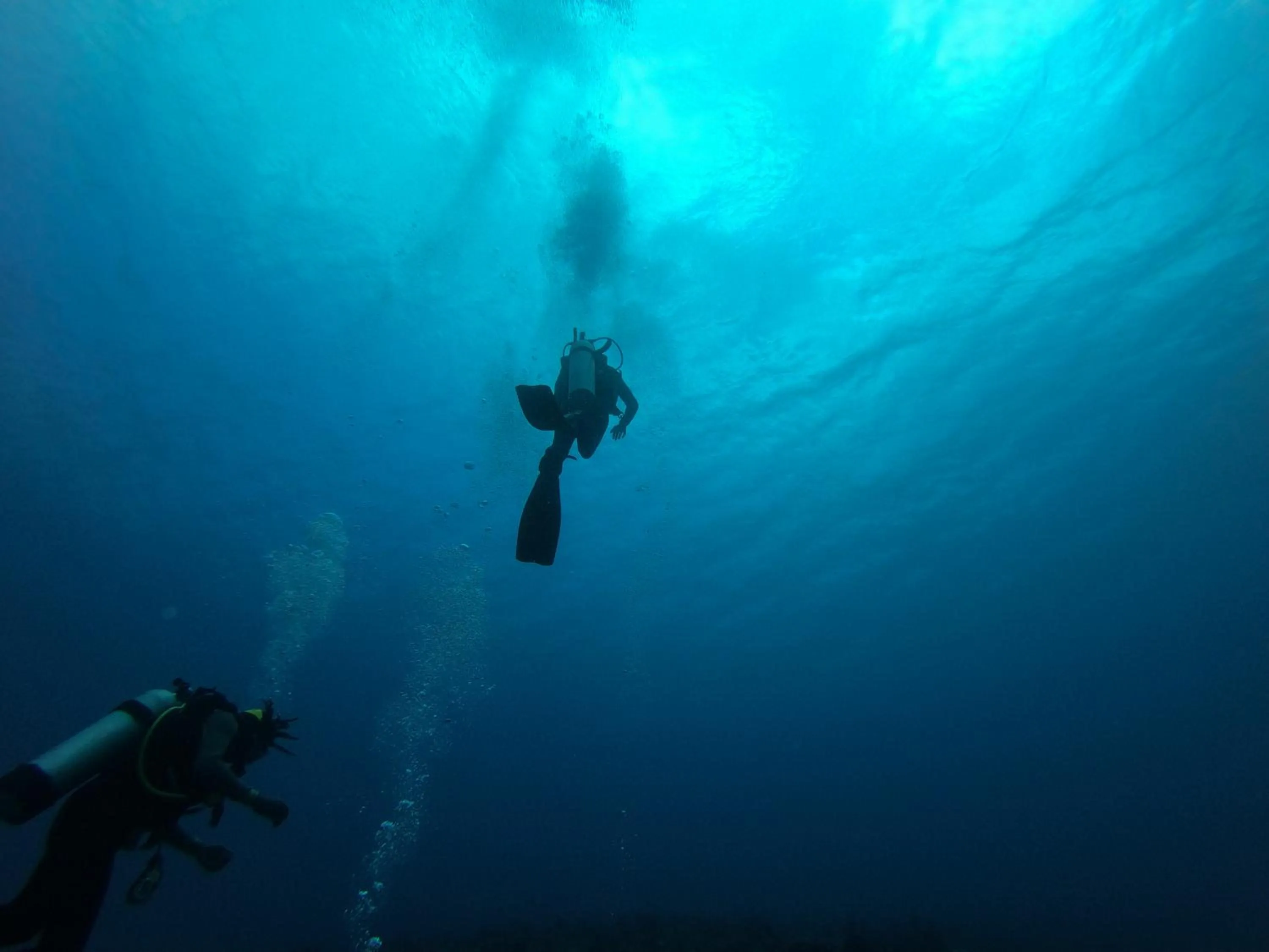 Activities in White Grass Ocean Resort & Spa