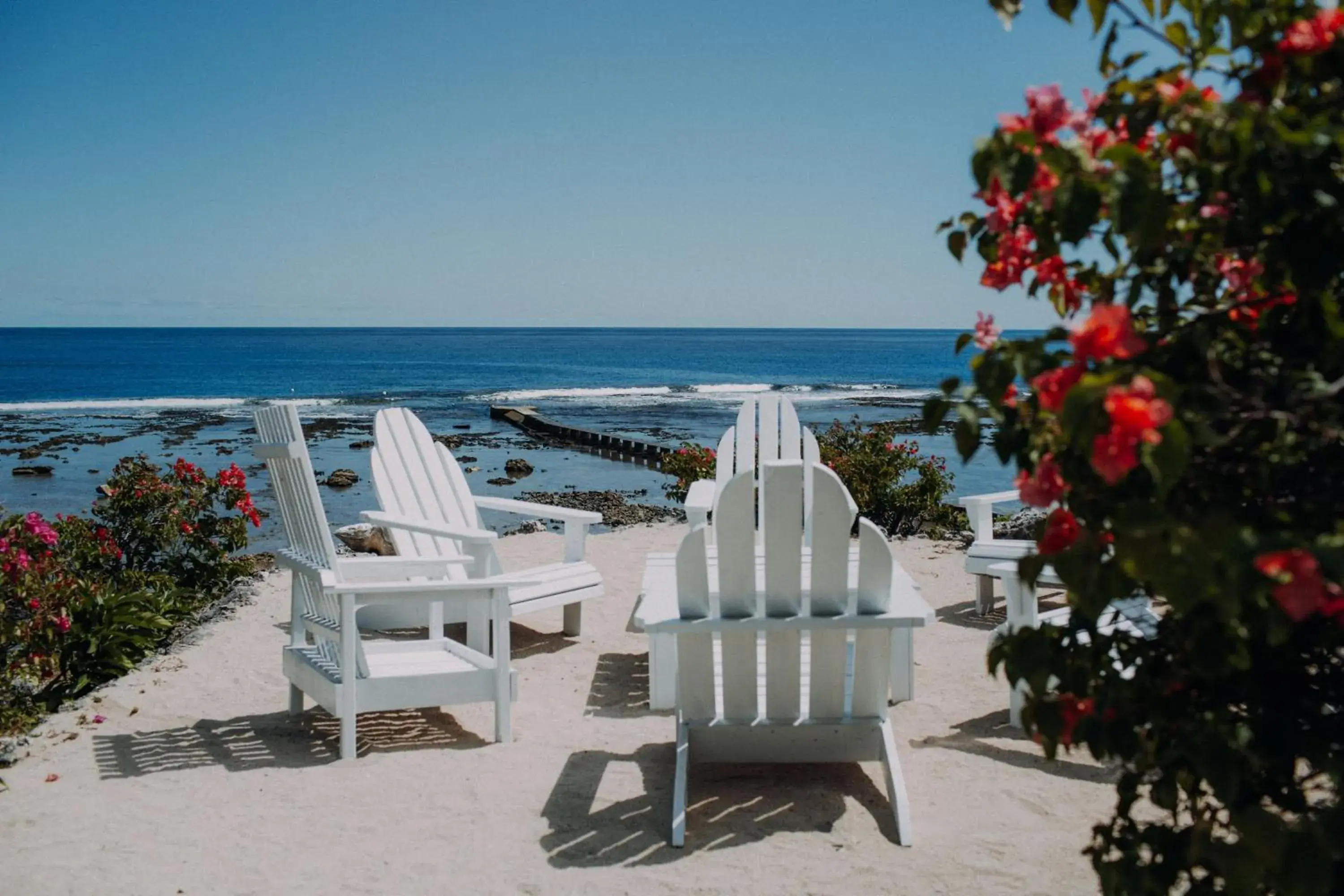 Restaurant/places to eat in White Grass Ocean Resort & Spa Restaurant/places to eat in White Grass Ocean Resort & Spa