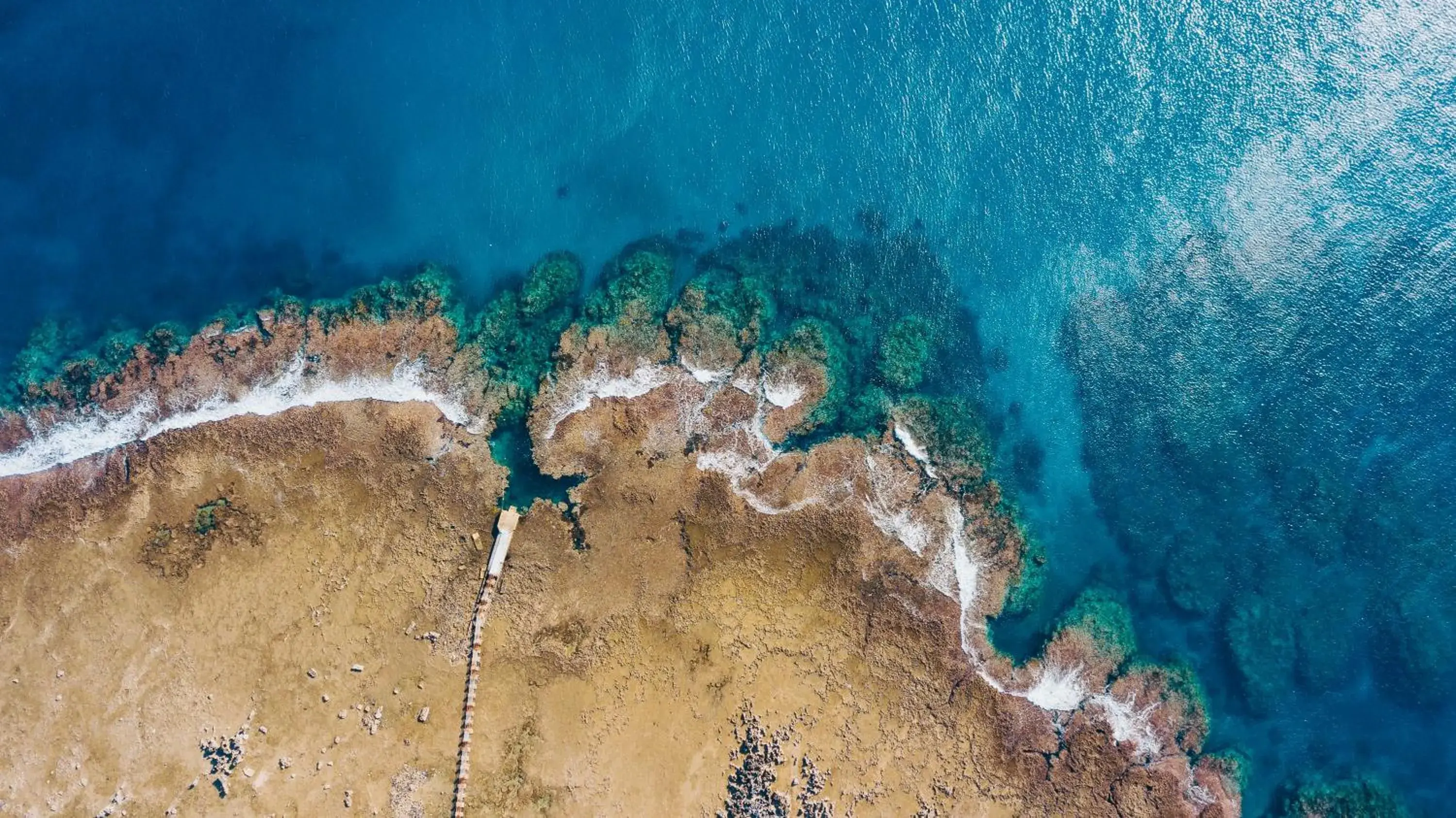 View (from property/room) in White Grass Ocean Resort & Spa View (from property/room) in White Grass Ocean Resort & Spa