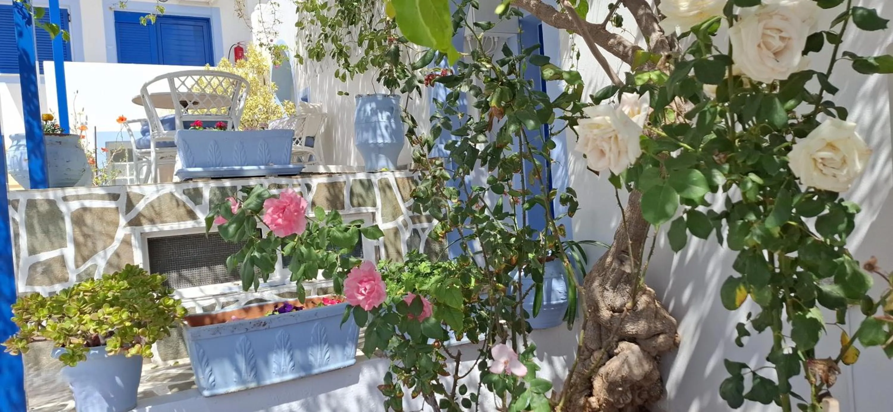 Pelagia Beach Studios