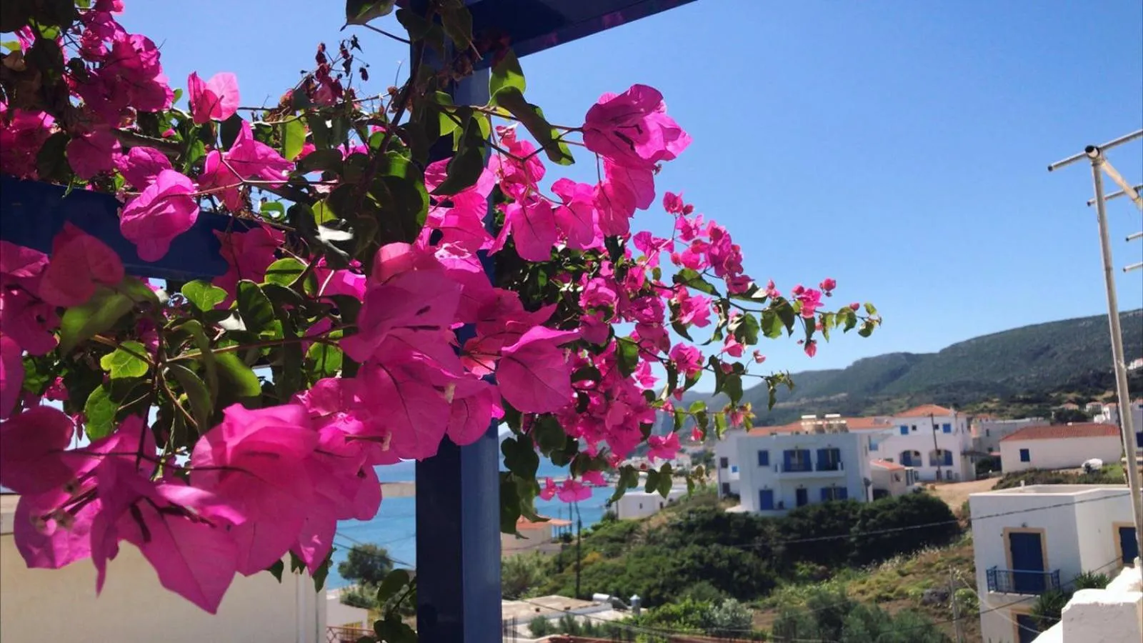 Neighbourhood in Pelagia Beach Studios