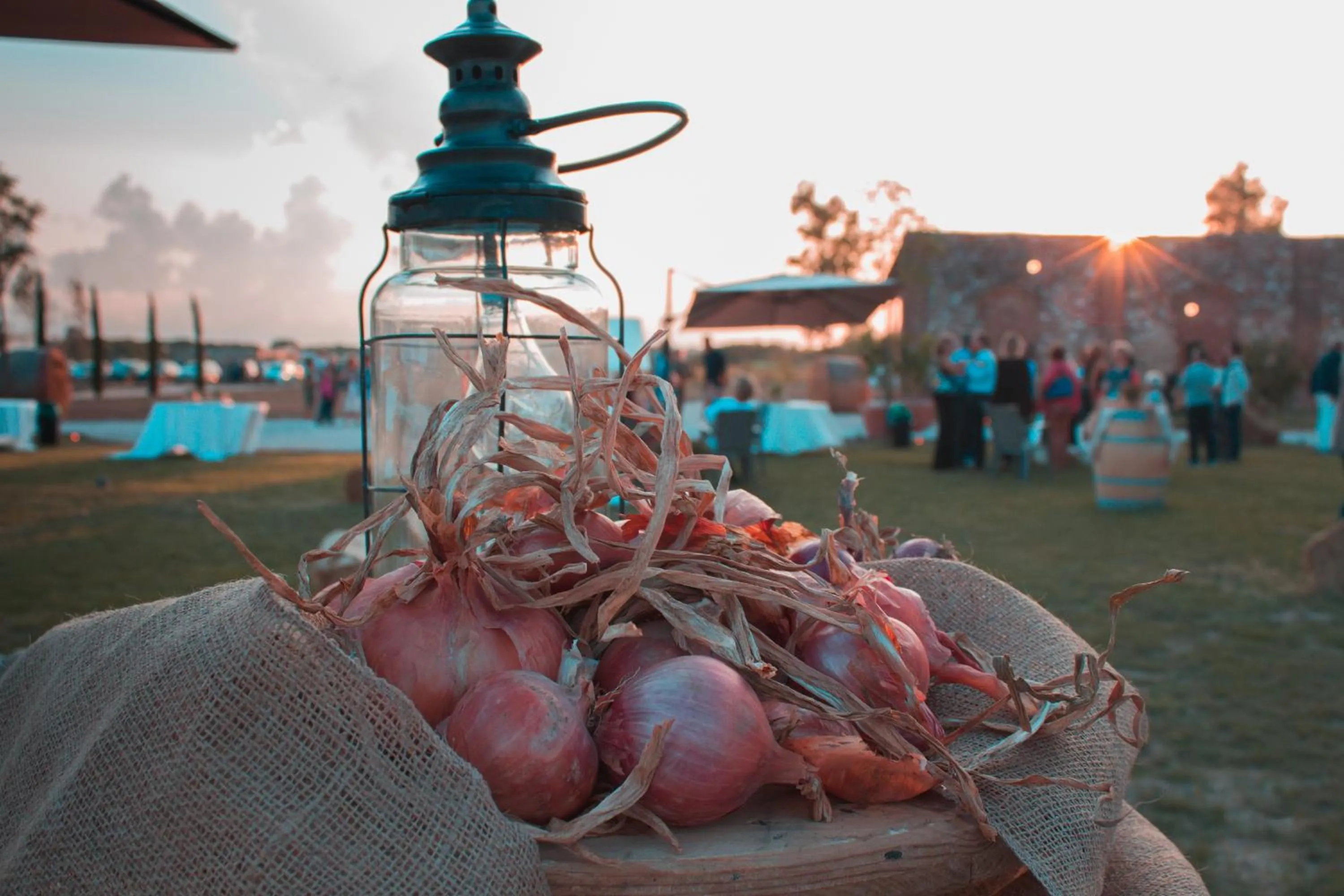 Property building in Fattoria L'Olmetto