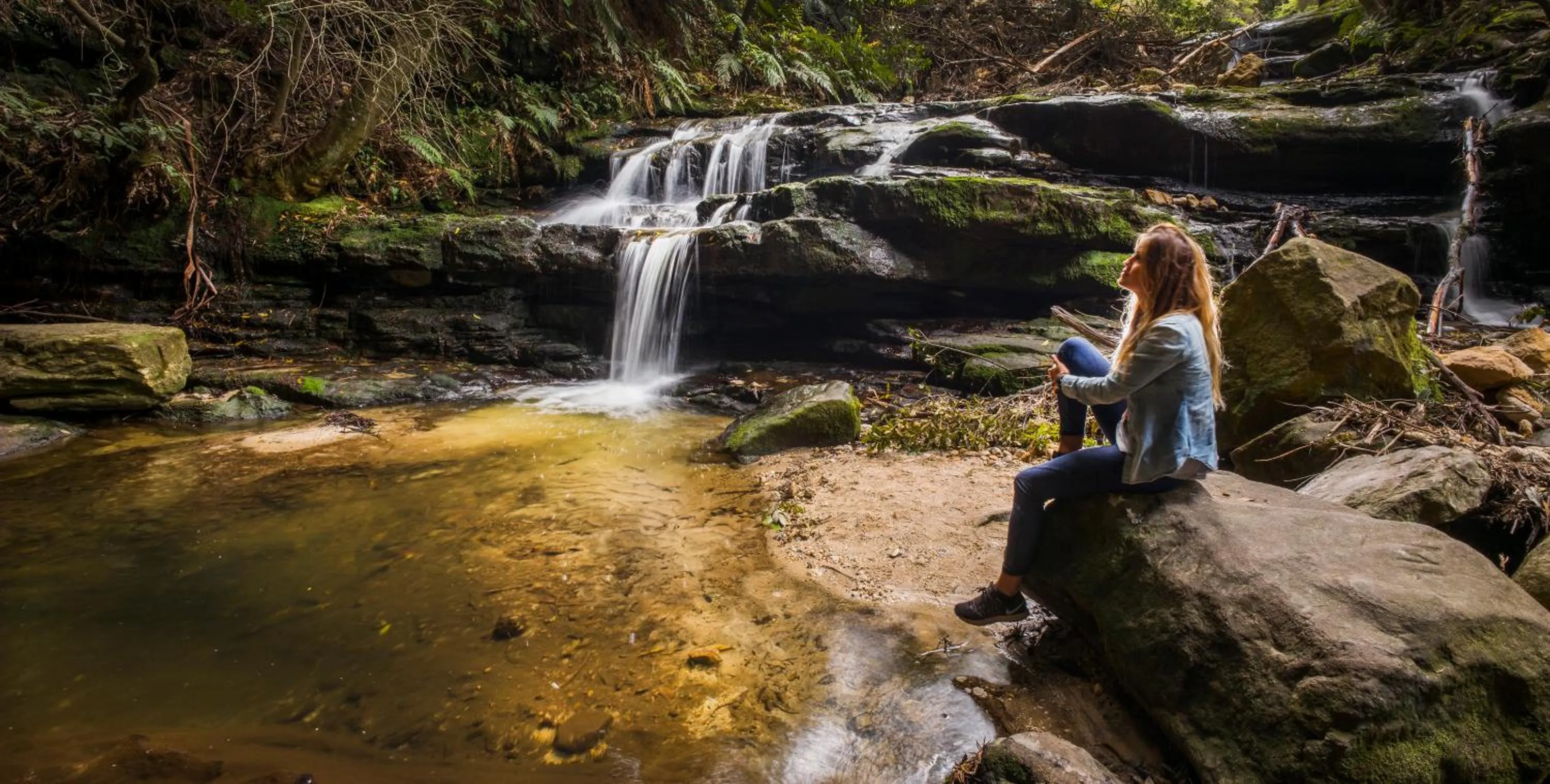 Natural landscape in YHA Blue Mountains Katoomba