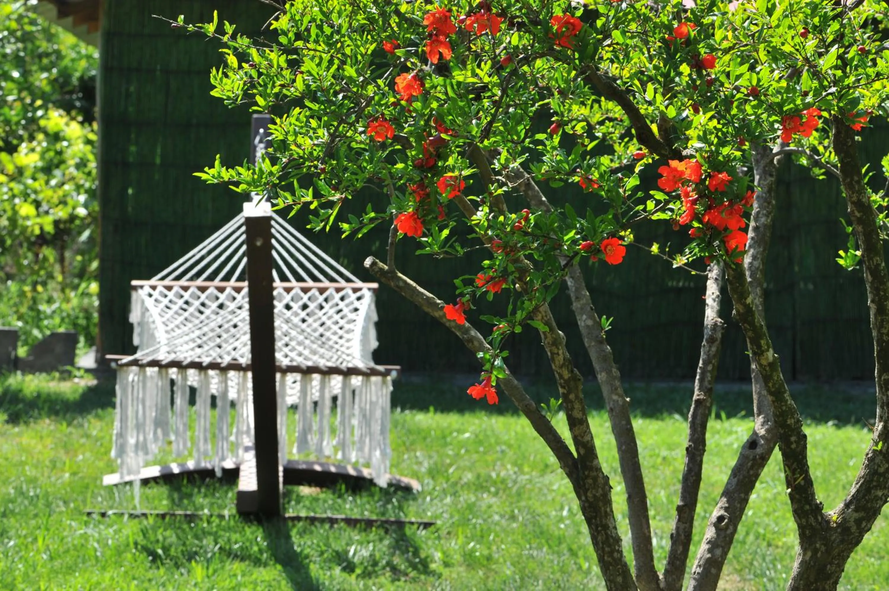 Garden in Grenadine Lodge