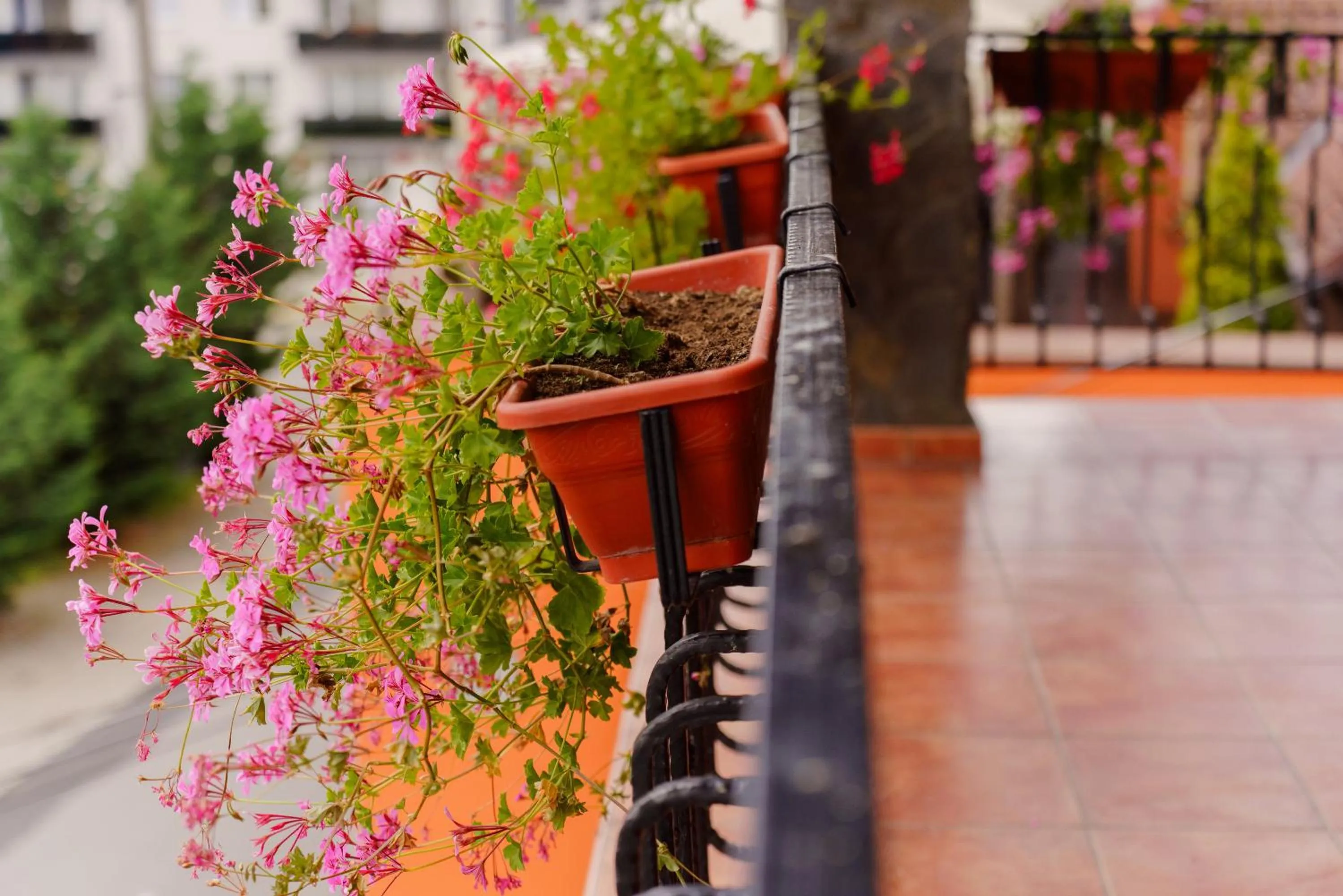 Spring in Complex Turistic Max International