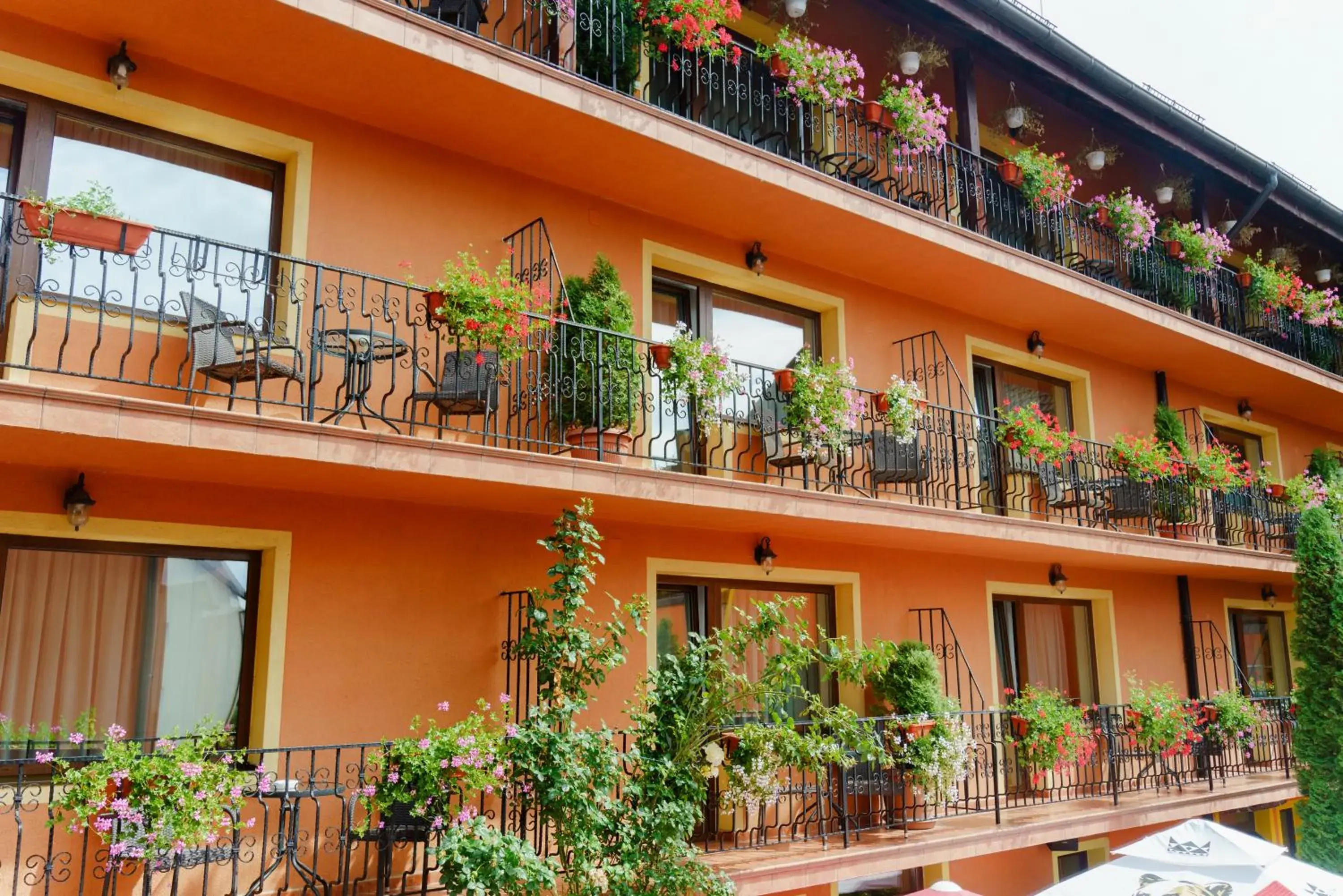 Property building in Complex Turistic Max International Property building in Complex Turistic Max International