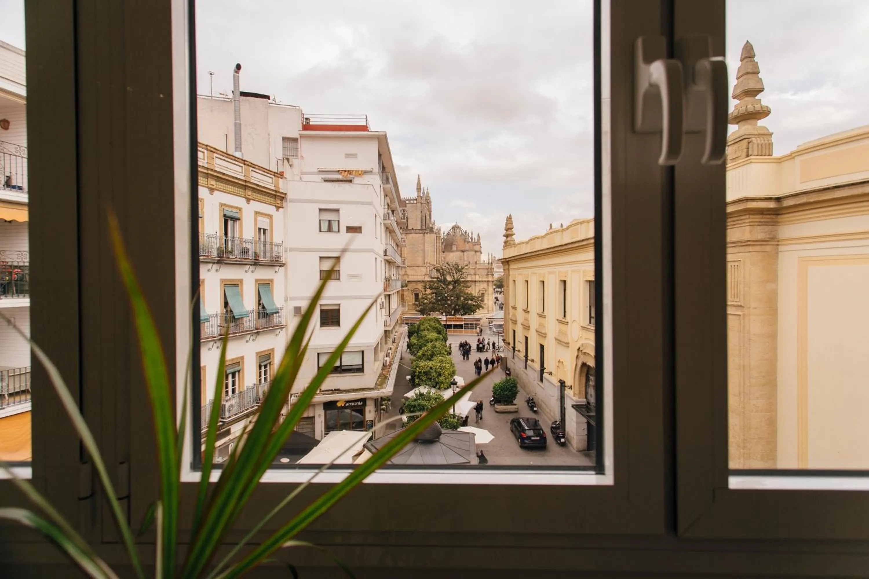 Preciosas Vistas a Catedral