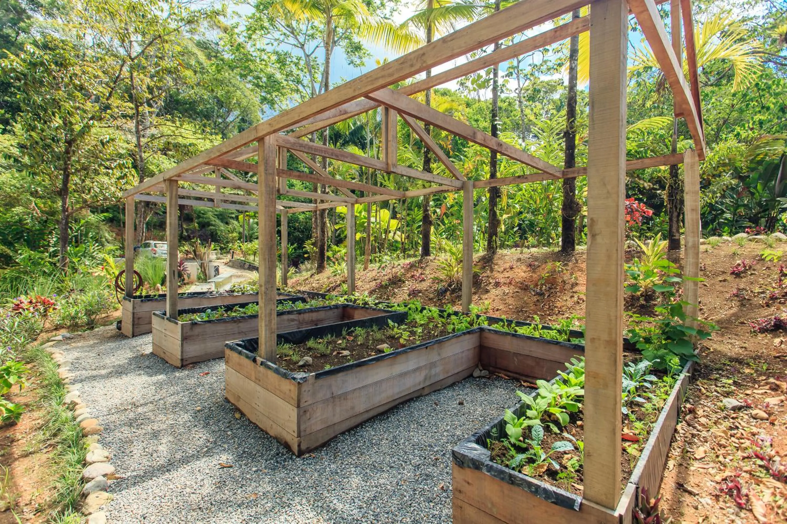 Garden in Rancho Pacifico - Boutique Hotel for Adults