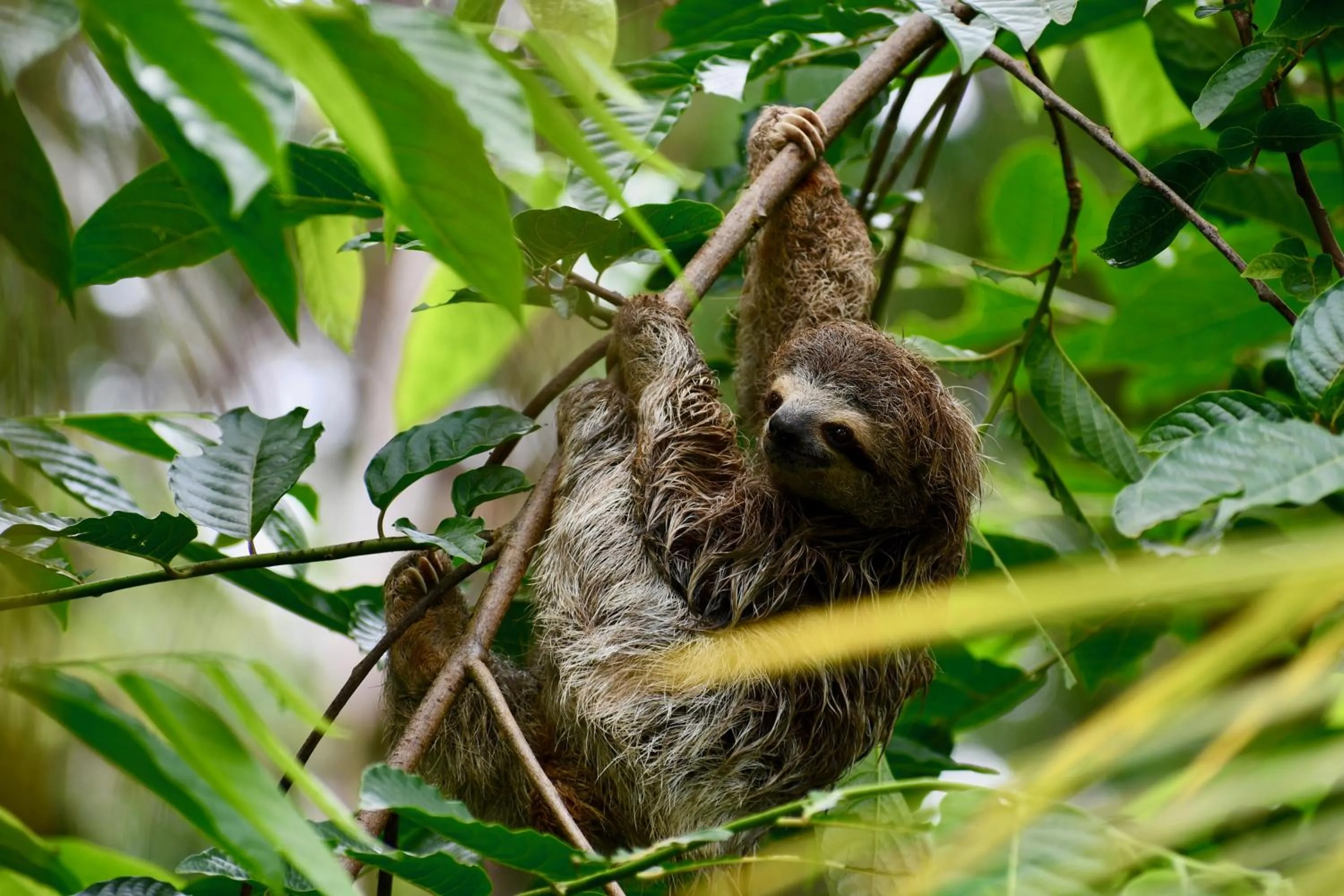 Natural landscape in Rancho Pacifico - Boutique Hotel for Adults