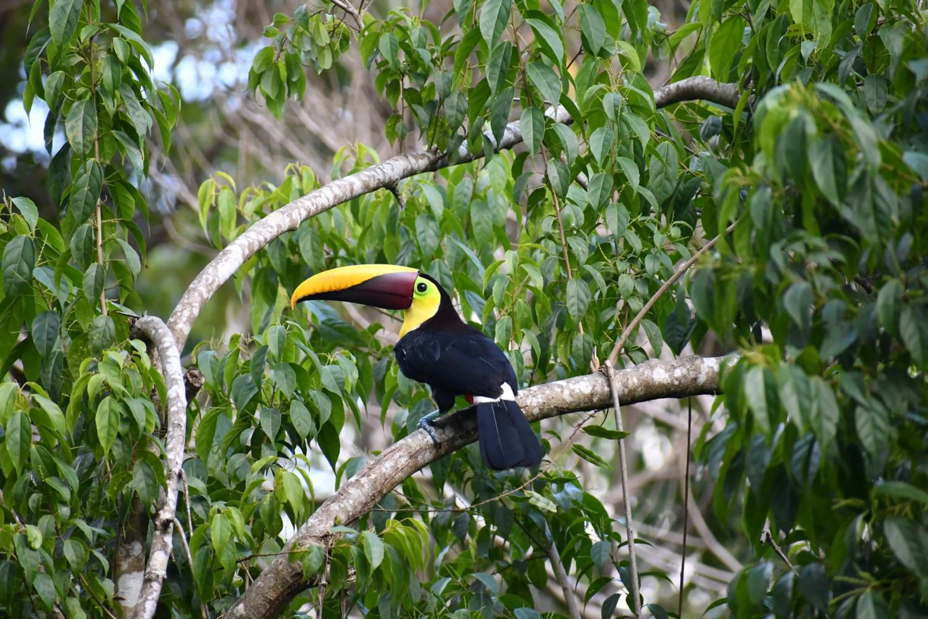 Natural landscape in Rancho Pacifico - Boutique Hotel for Adults