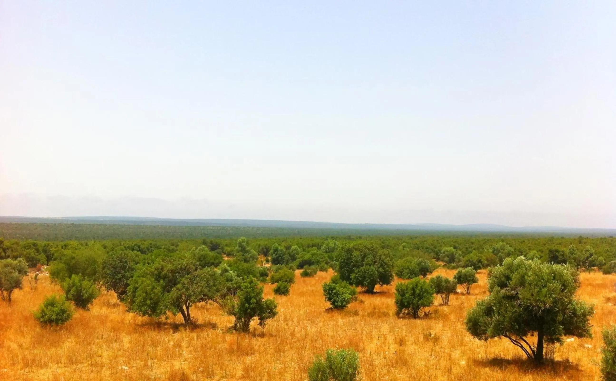 Garden in Les Jardins de Villa Maroc
