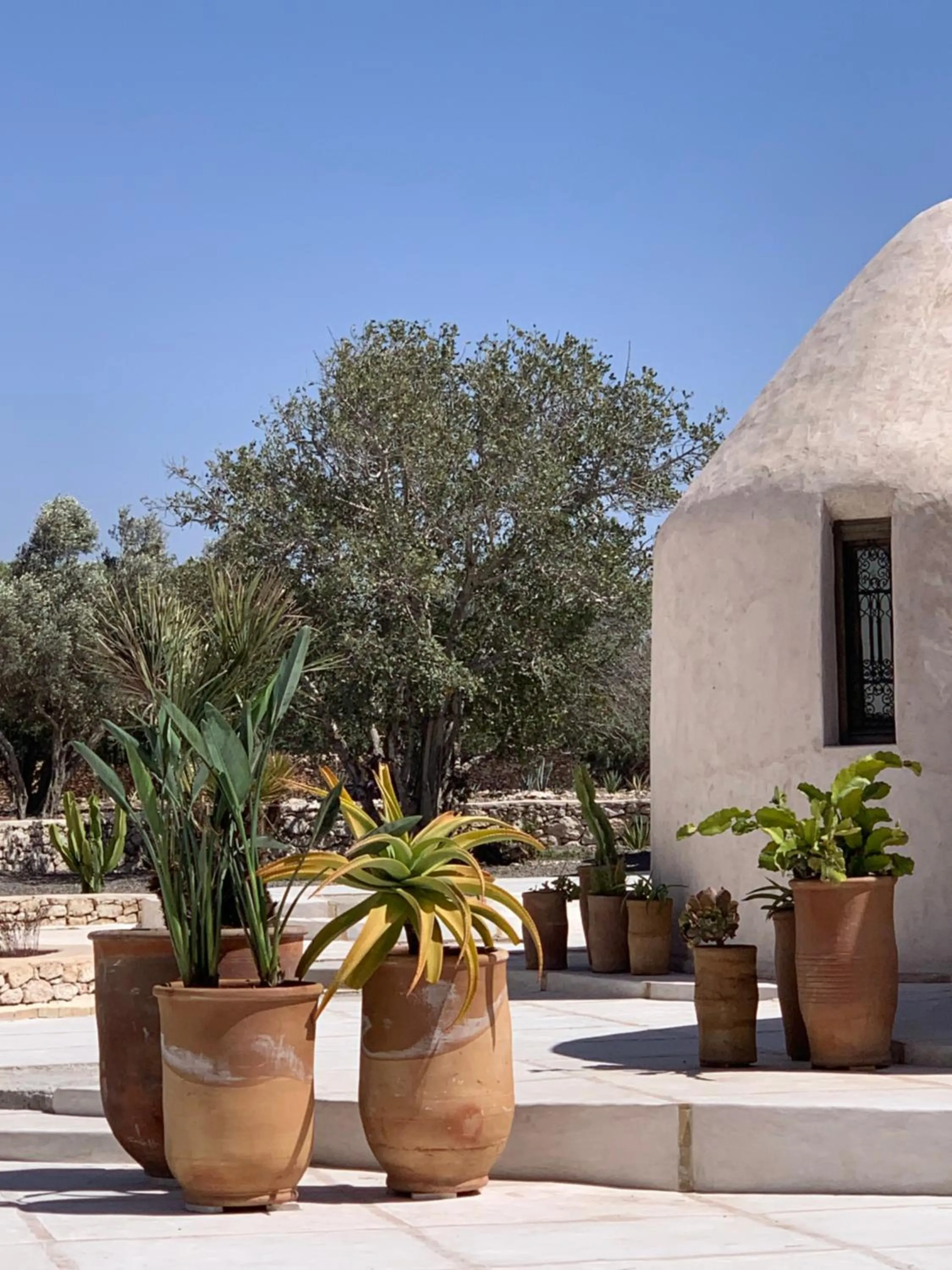 Property building in Les Jardins de Villa Maroc