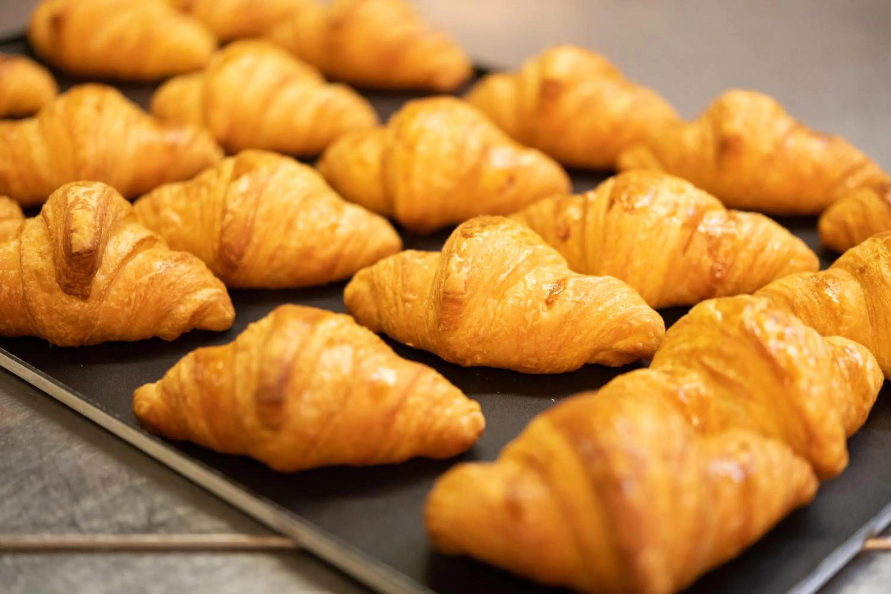Breakfast in Hashidate Bay Hotel
