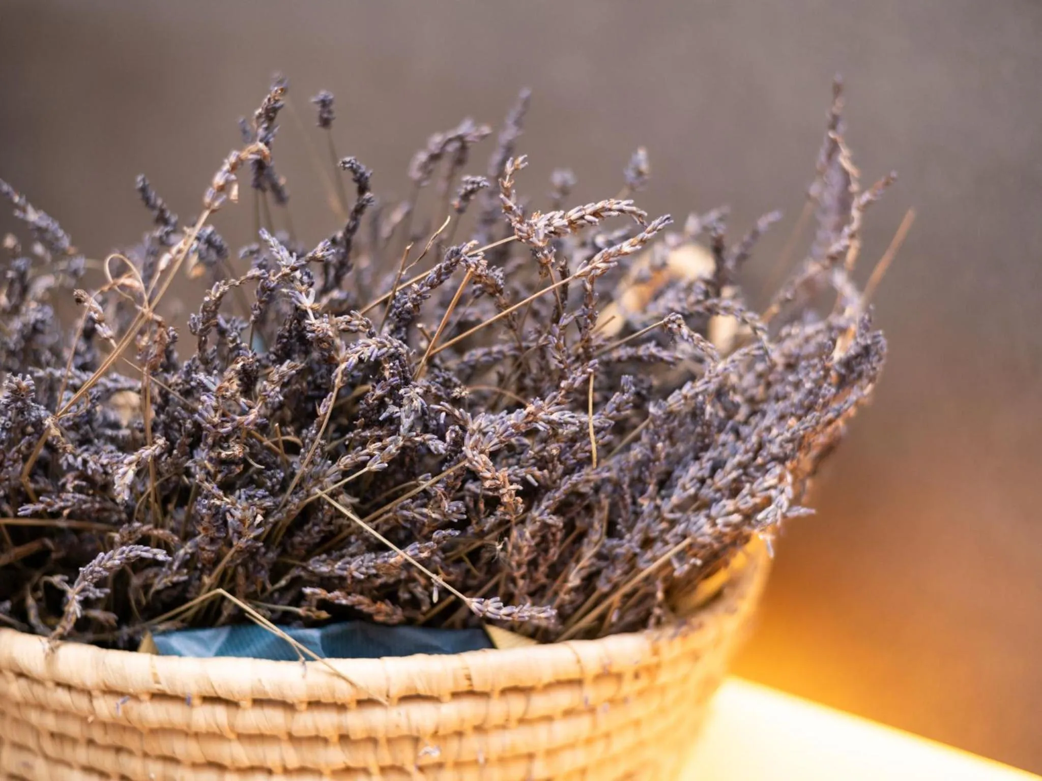 Other in Hashidate Bay Hotel