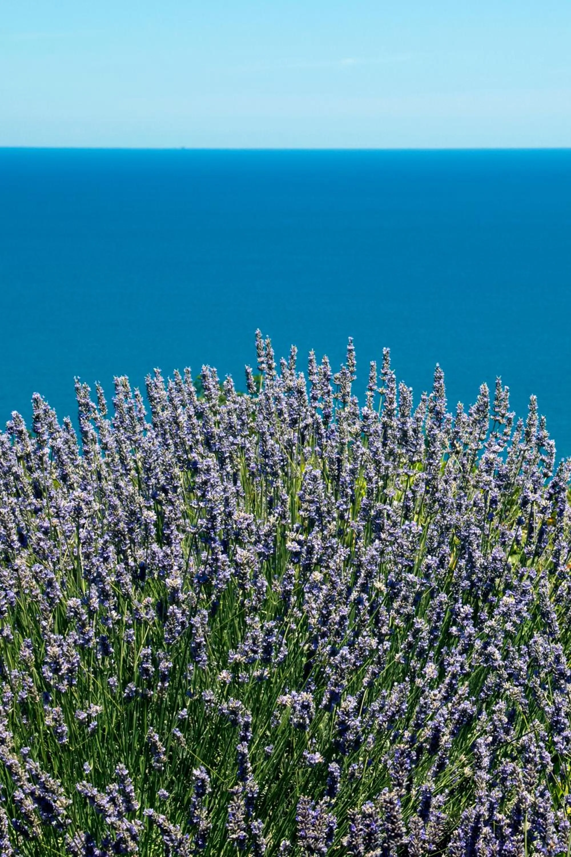 Other in Hotel Emilia