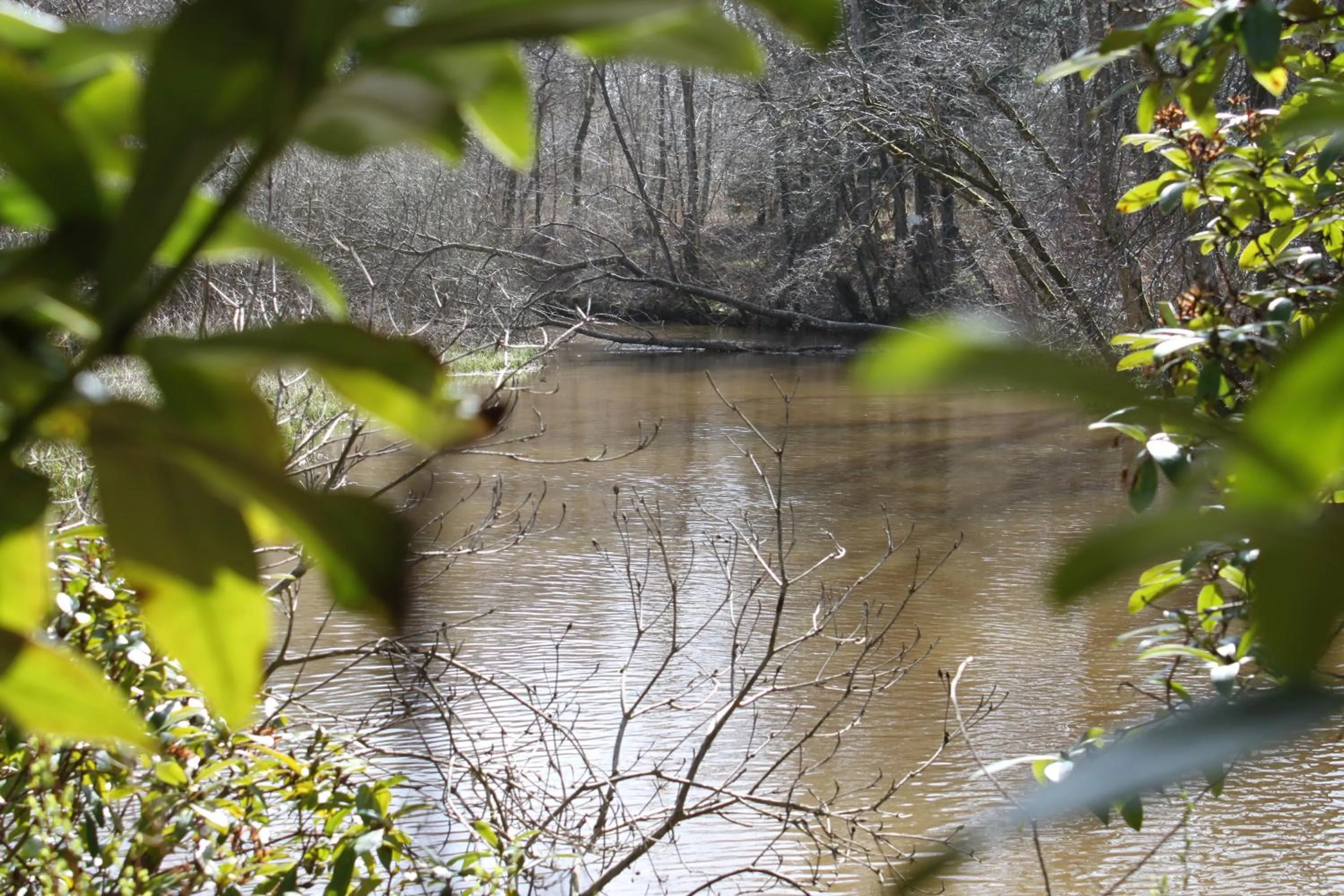 Spring in Skarrildhus Sinatur Hotel & Konference