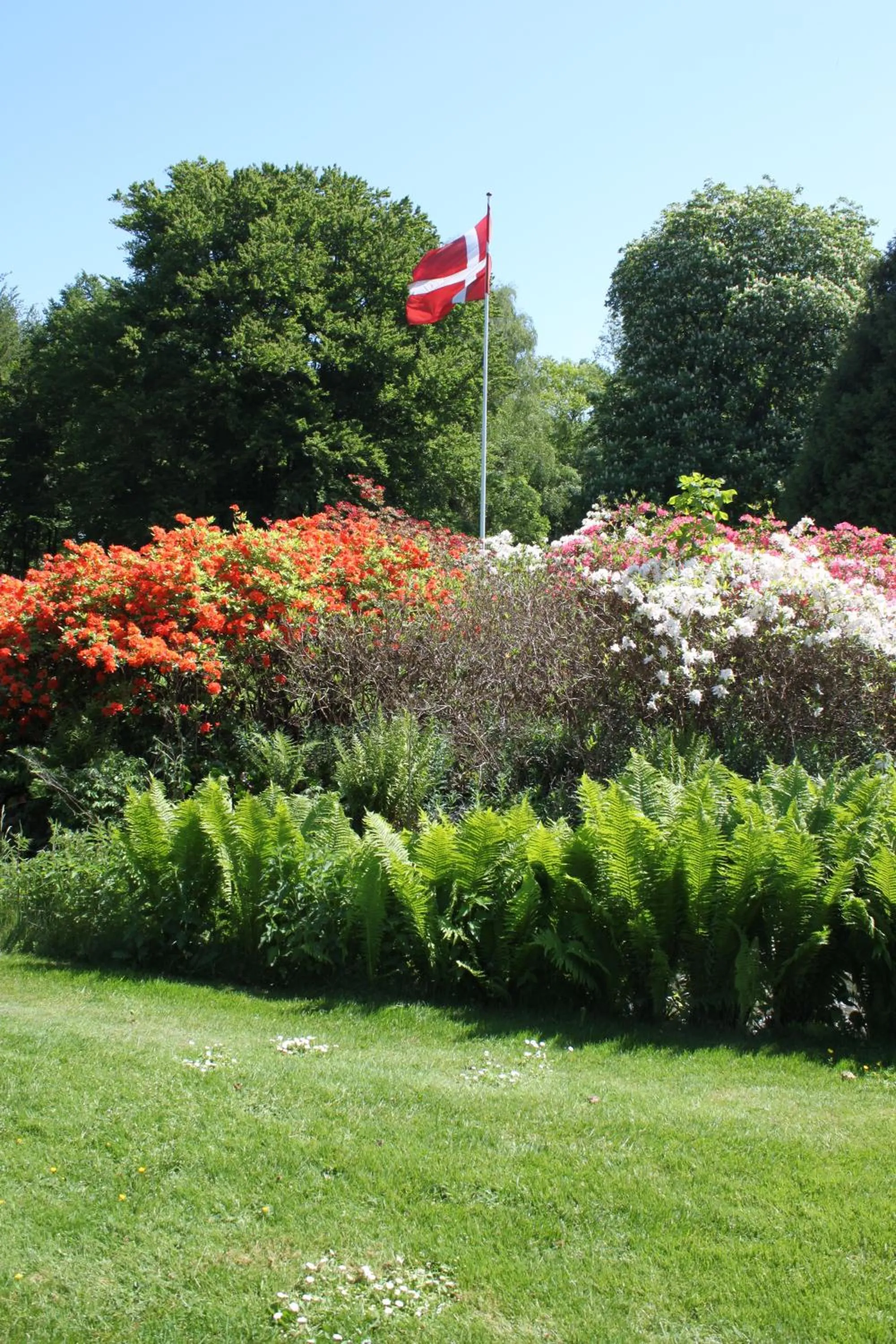 Garden in Skarrildhus Sinatur Hotel & Konference