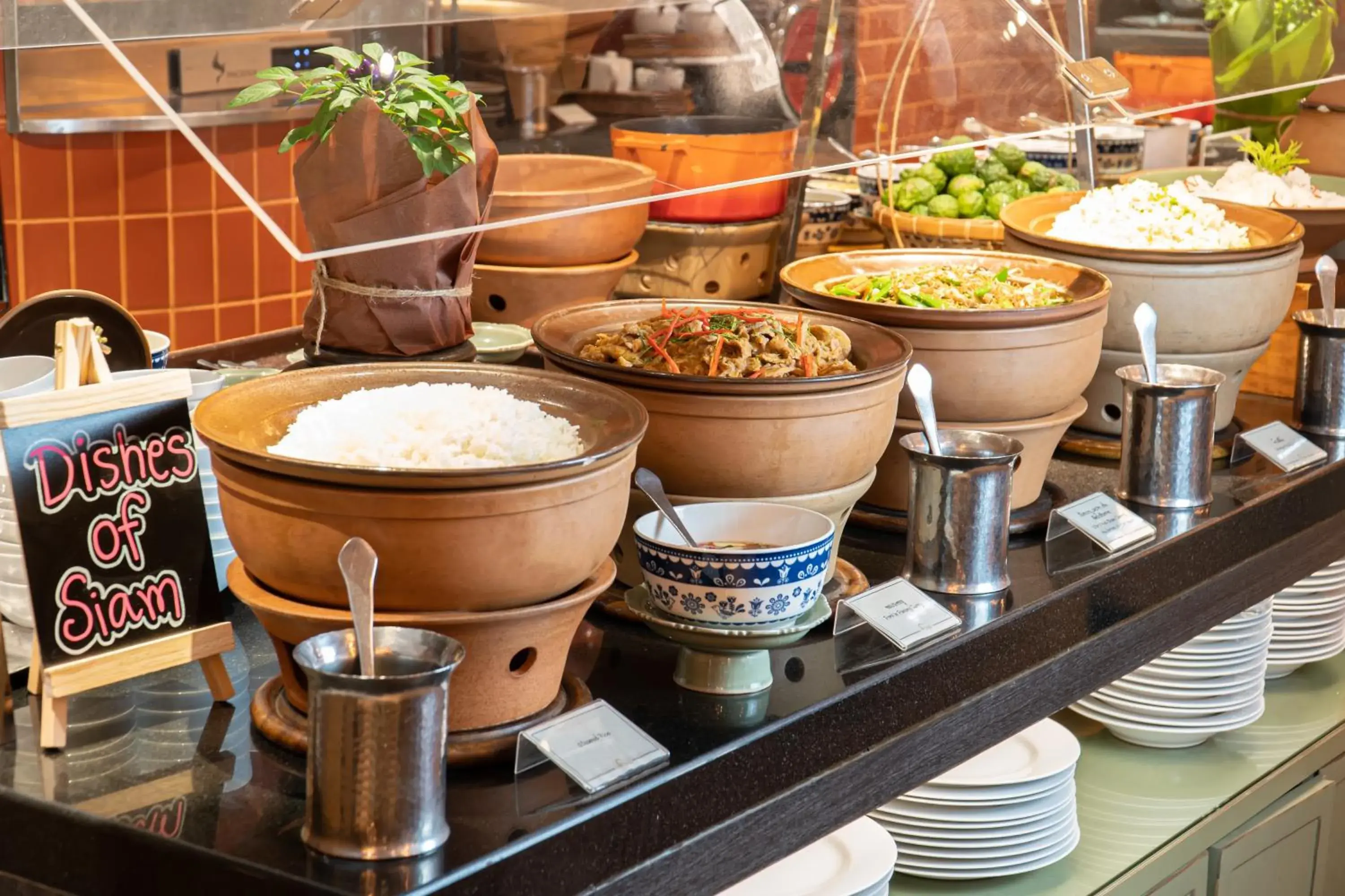 Food and drinks in Hyatt Regency Hua Hin Food and drinks in Hyatt Regency Hua Hin