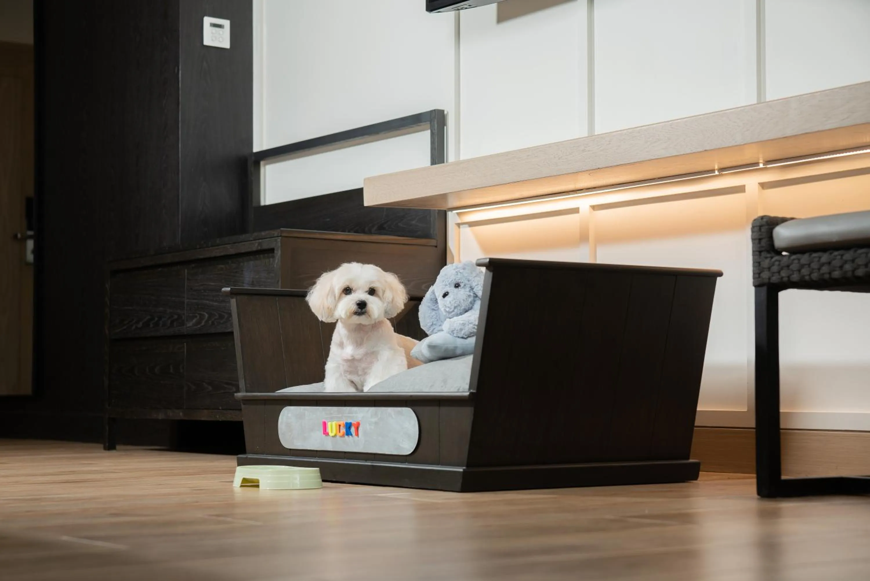 Pets in Hyatt Regency Hua Hin