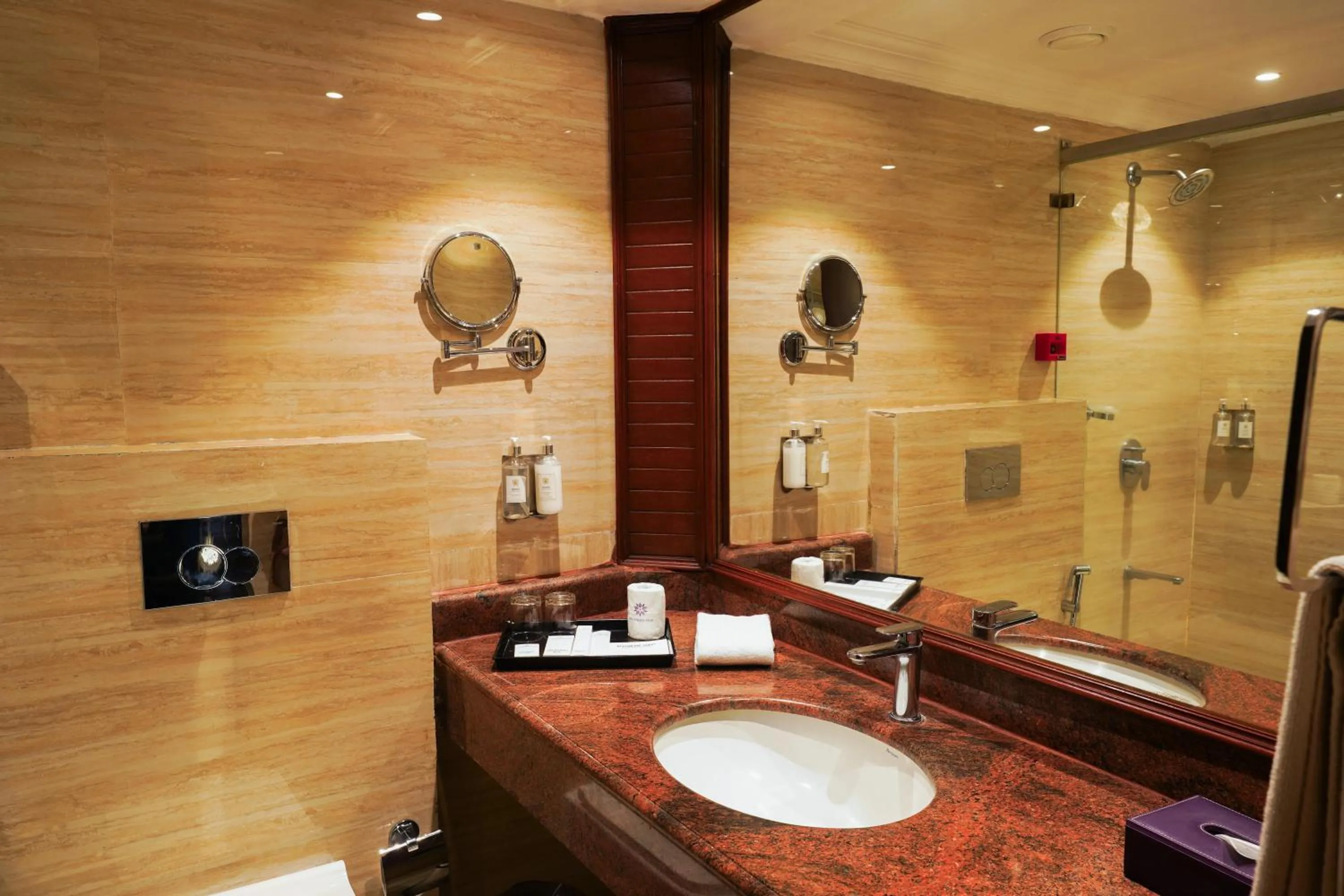 Bathroom in Southern Star,Mysore