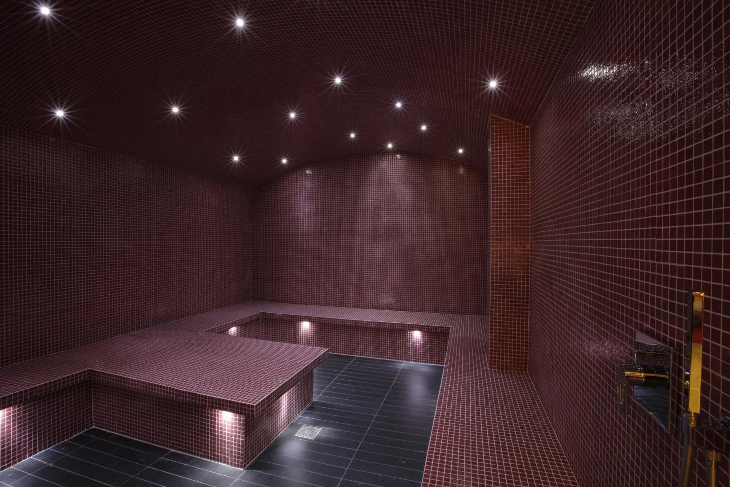 Steam room in Oz'Inn Hôtel & Spa