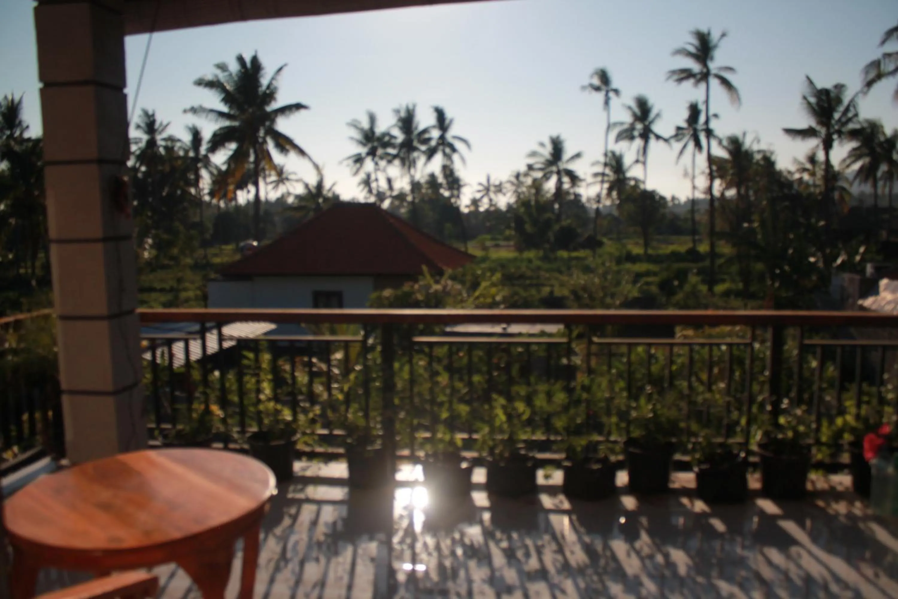 Balcony/Terrace in Blue Royal Amed
