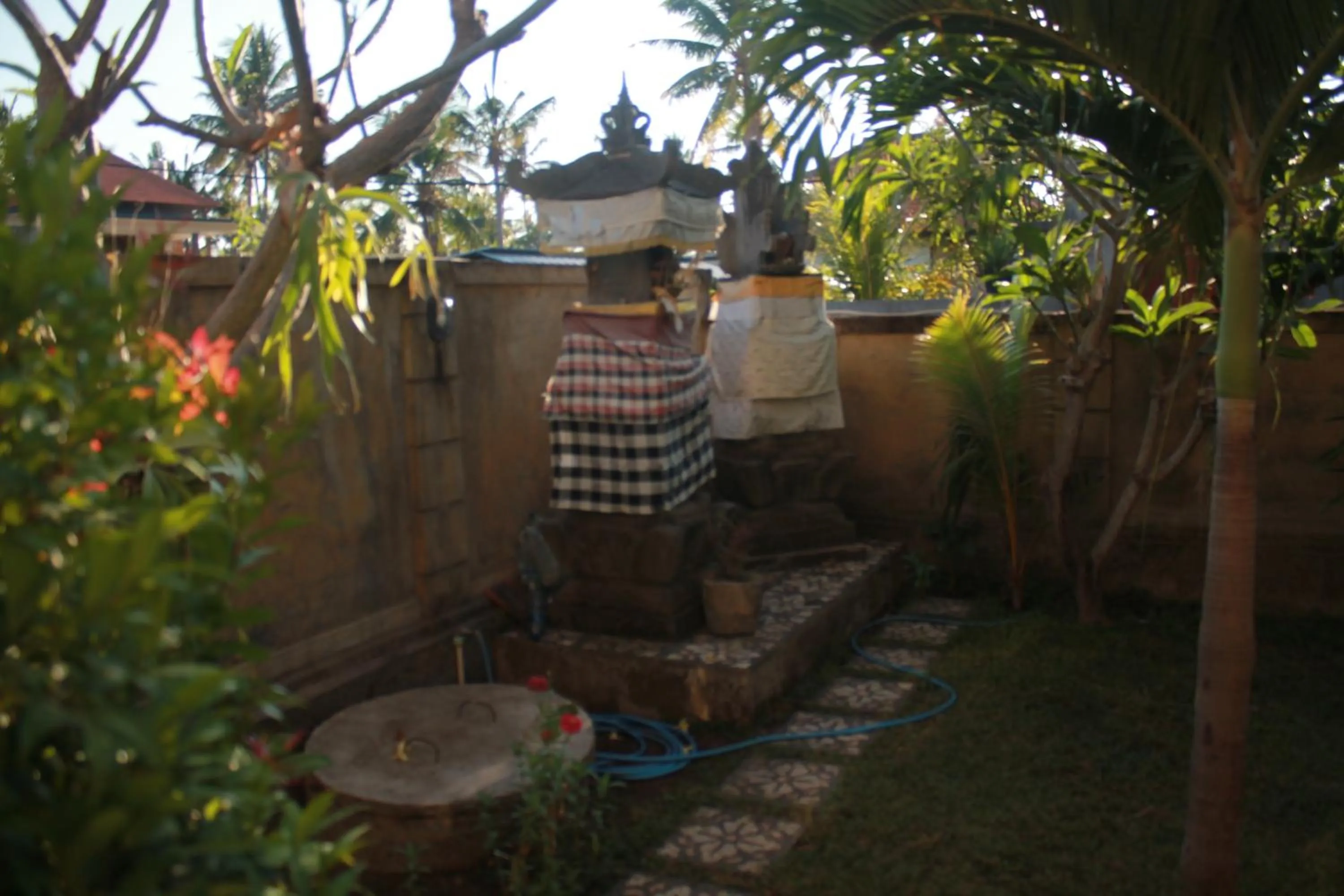 Garden in Blue Royal Amed