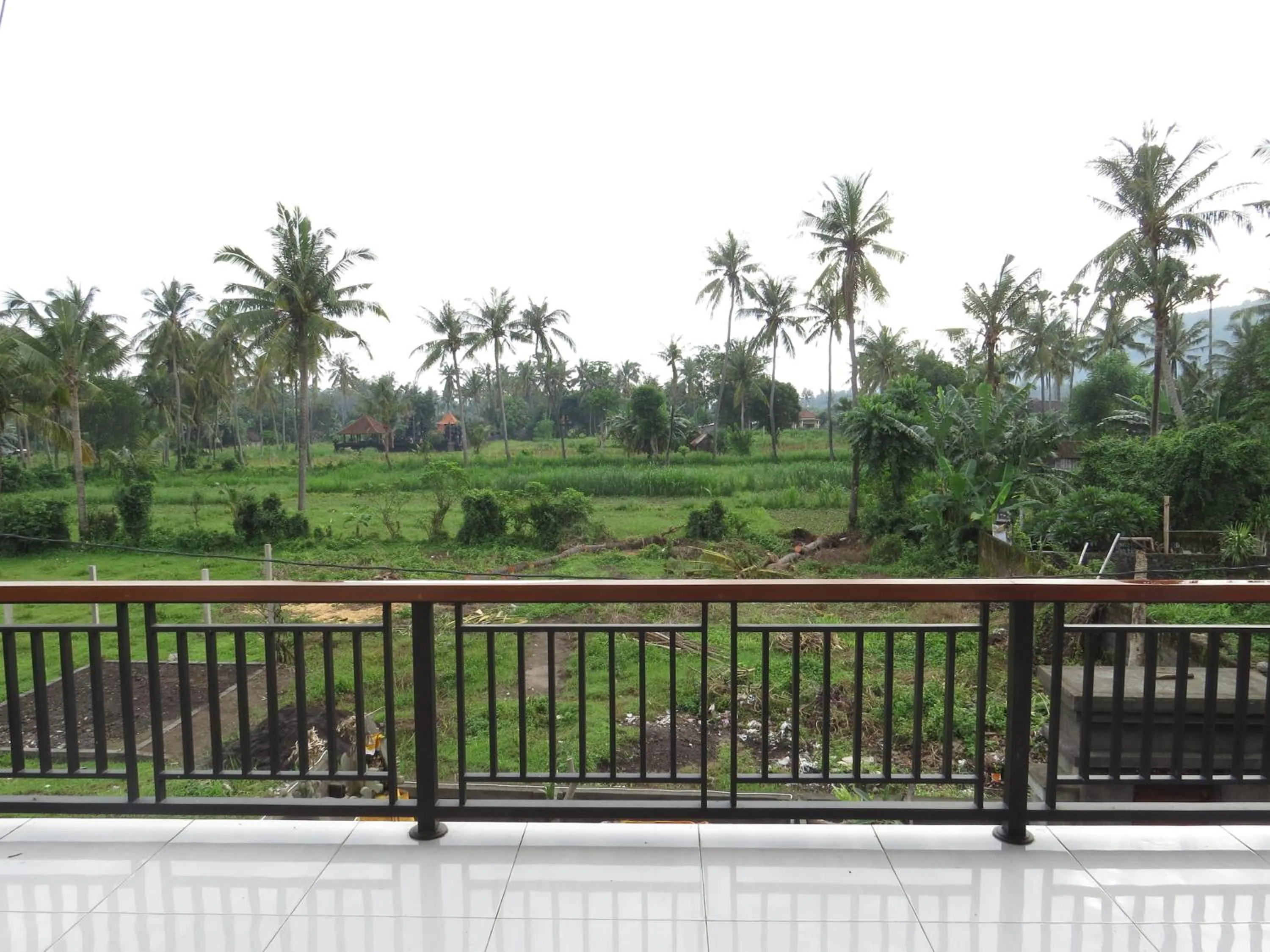 Property building in Blue Royal Amed