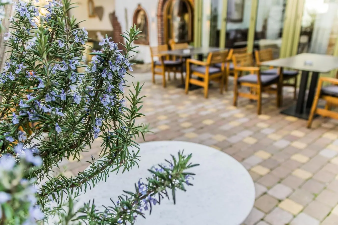 Patio in Das Stadthaus