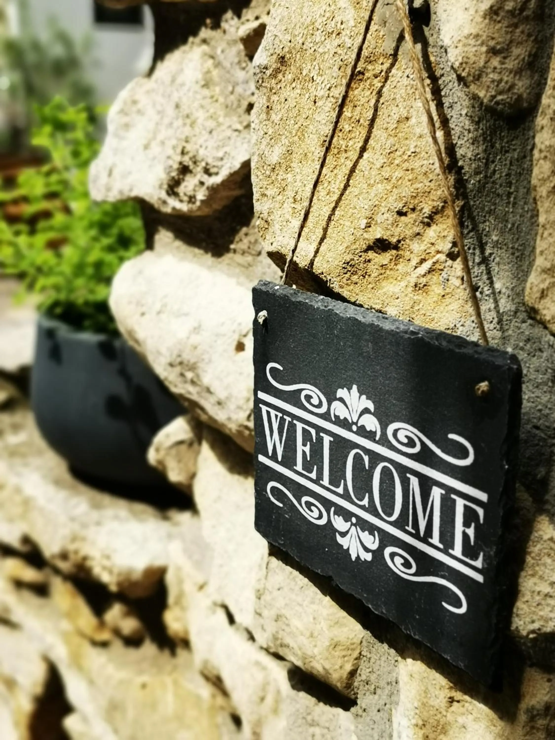 Property building in Das Stadthaus