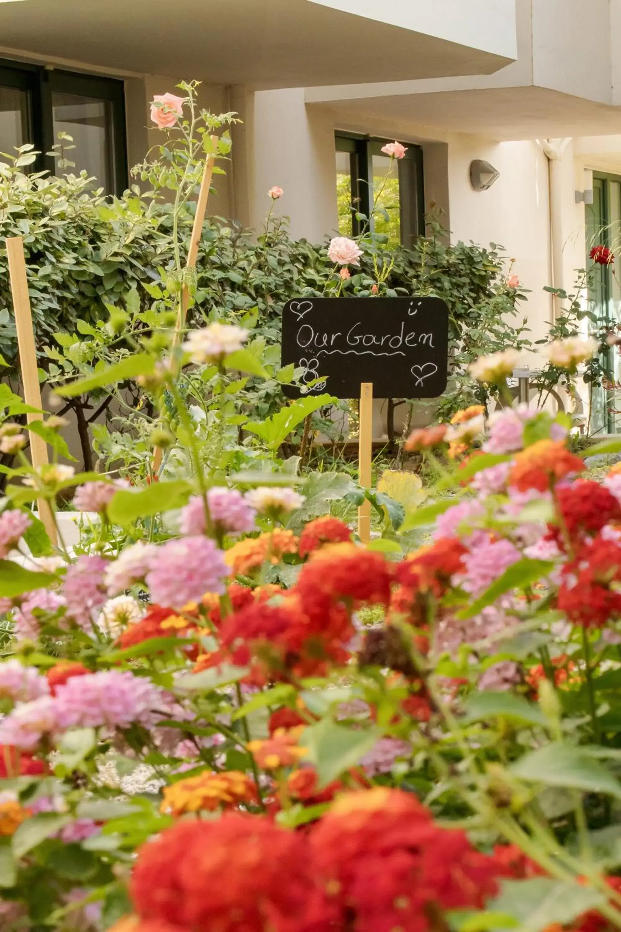 Garden view in Athina Beach Hotel Garden view in Athina Beach Hotel